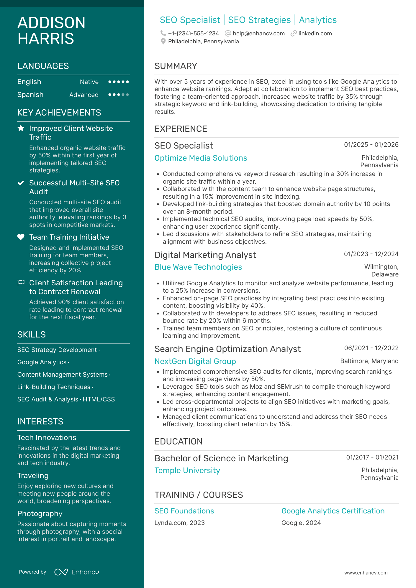 SEO resume example