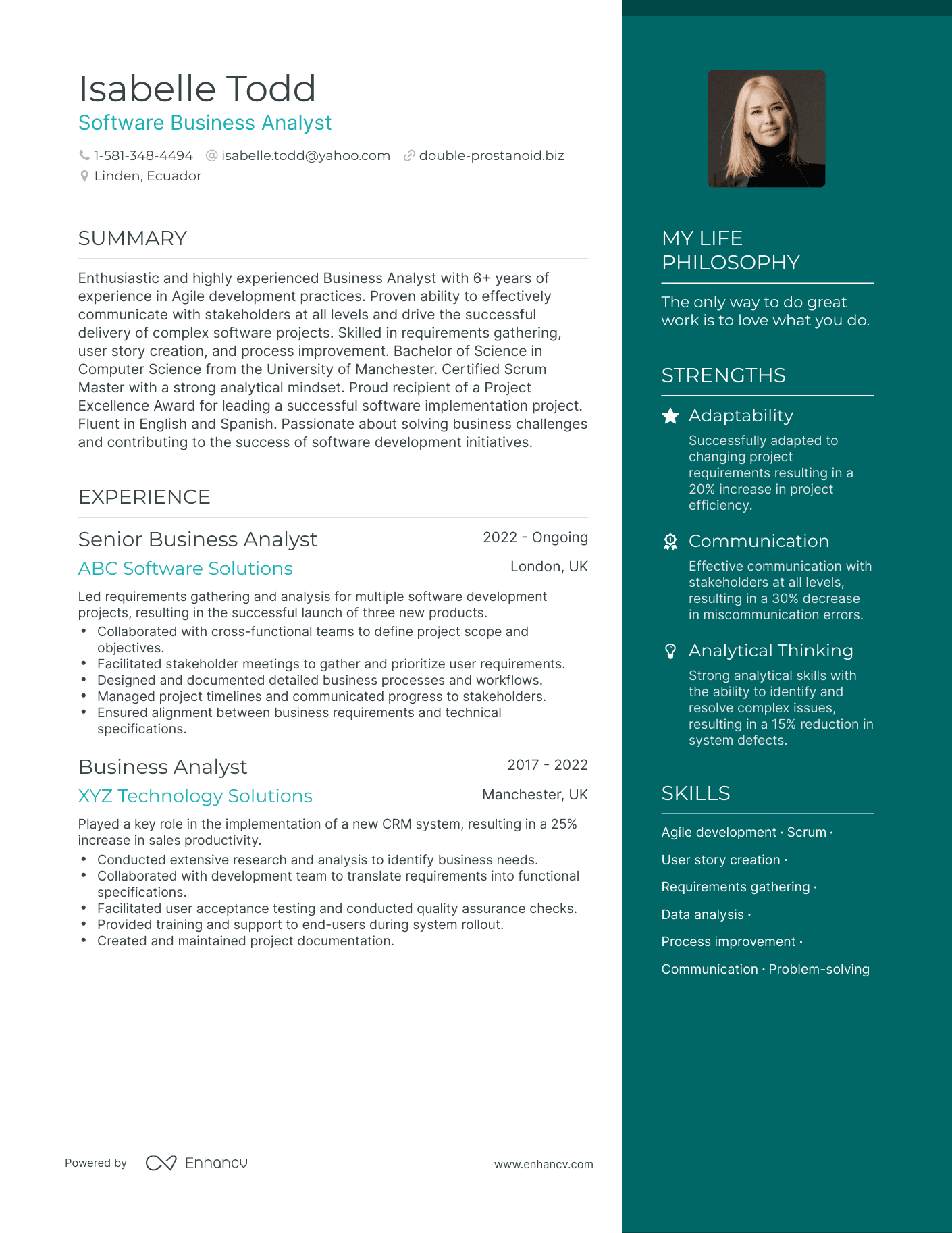 Modern Software Business Analyst Resume Example