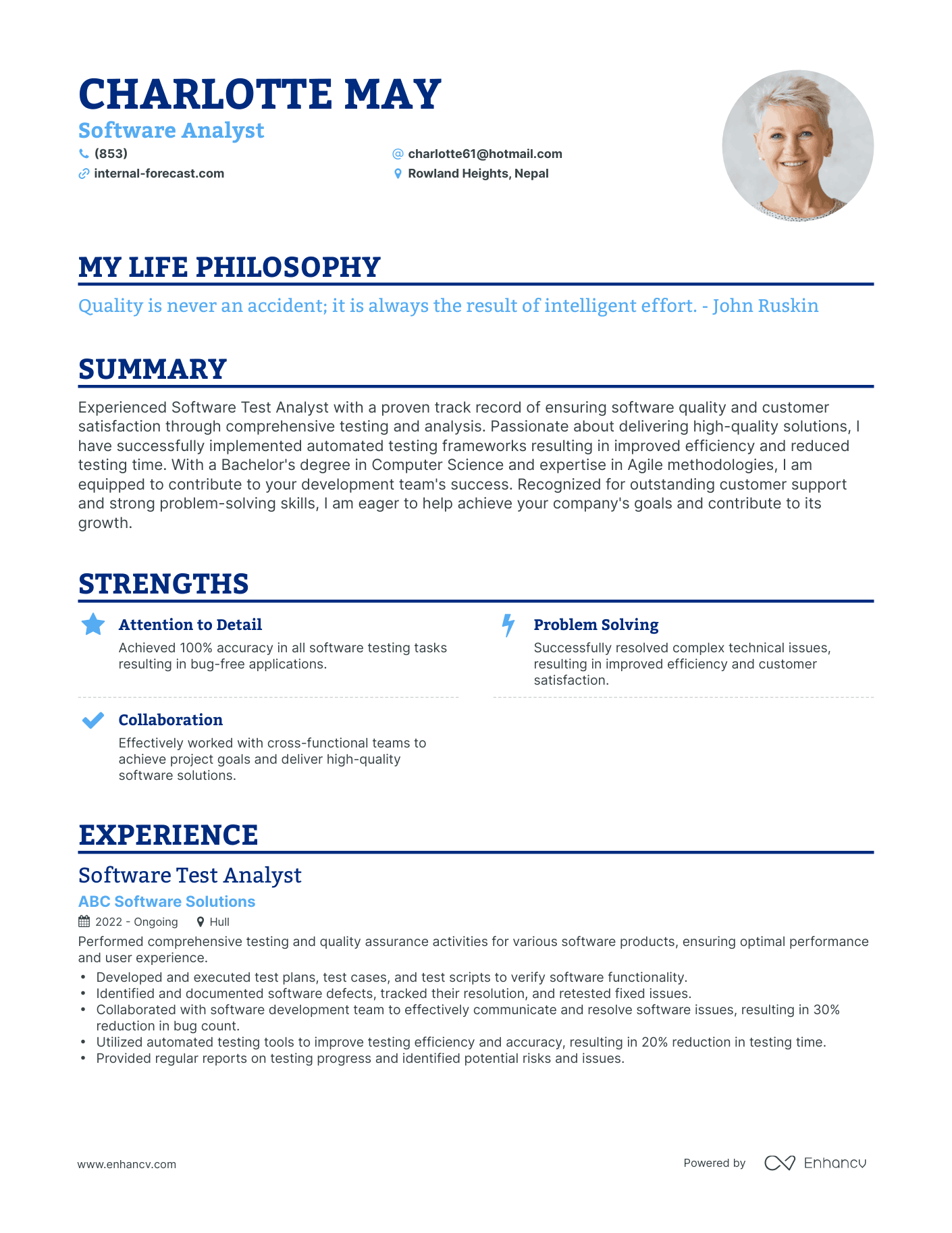 Creative Software Analyst Resume Example
