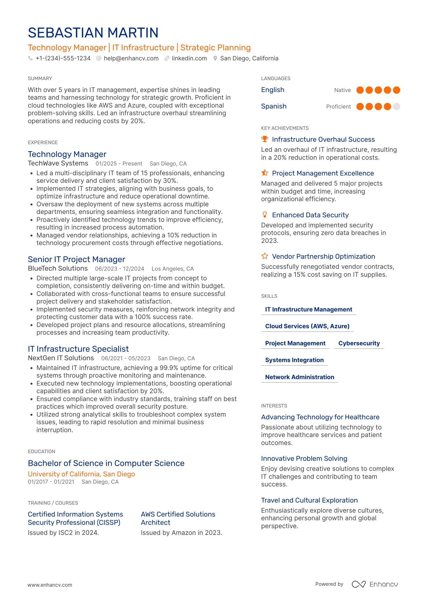 Technology Manager resume example