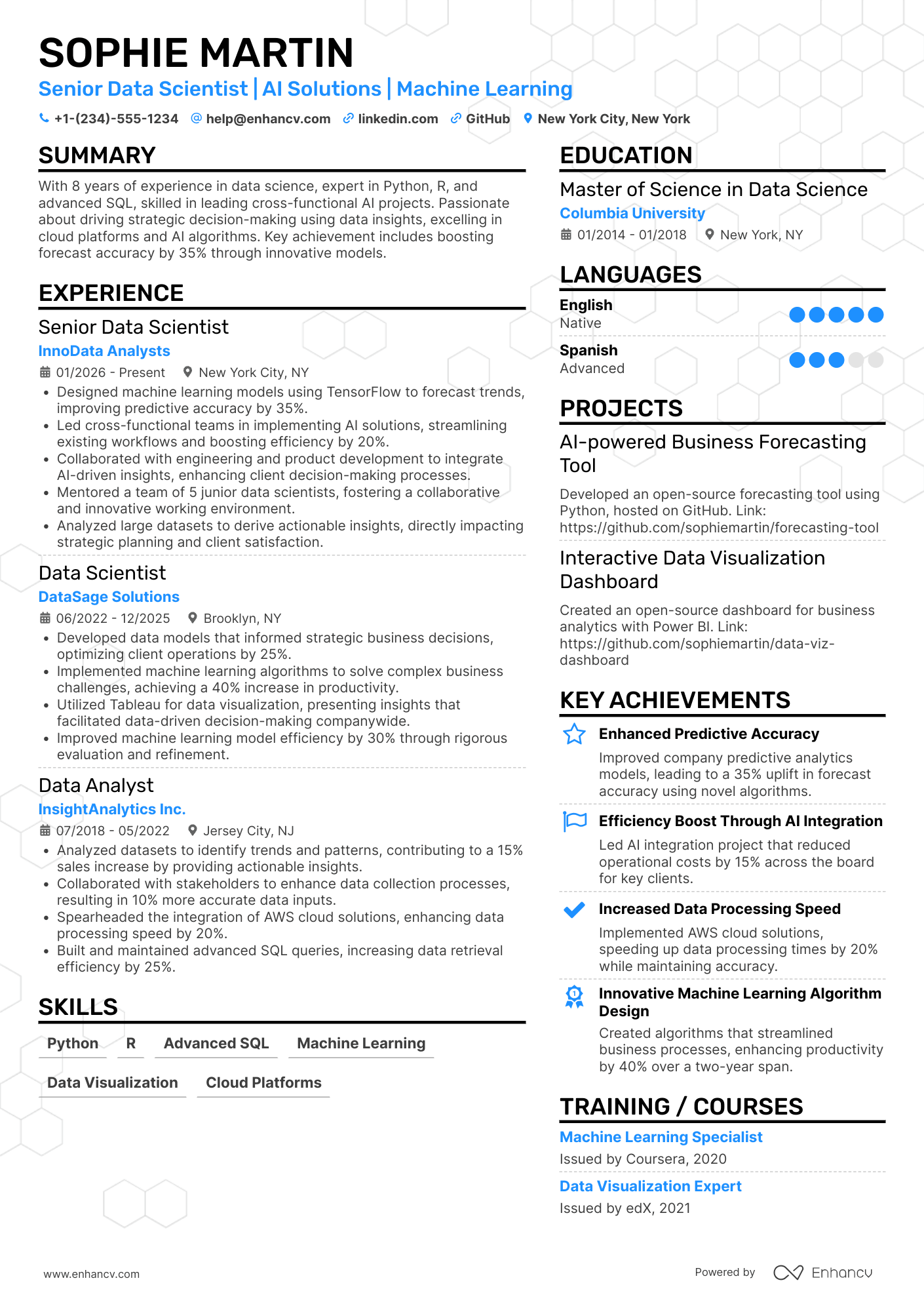 Silicon Valley resume example