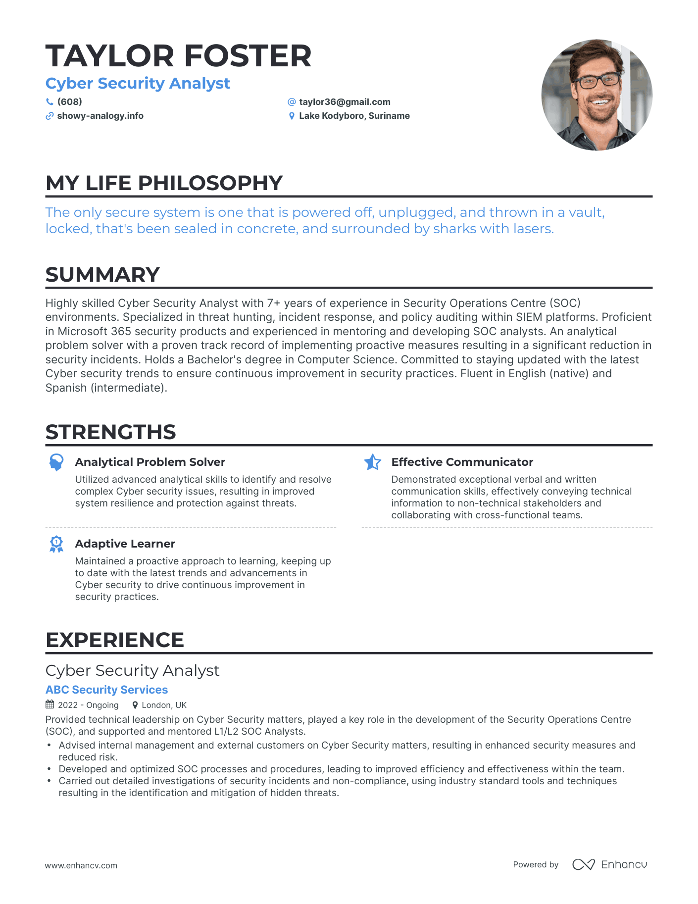 Creative Cyber Security Analyst Resume Example