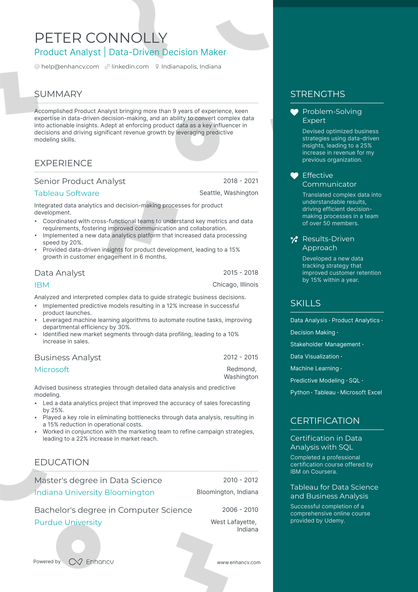 product analyst resume example