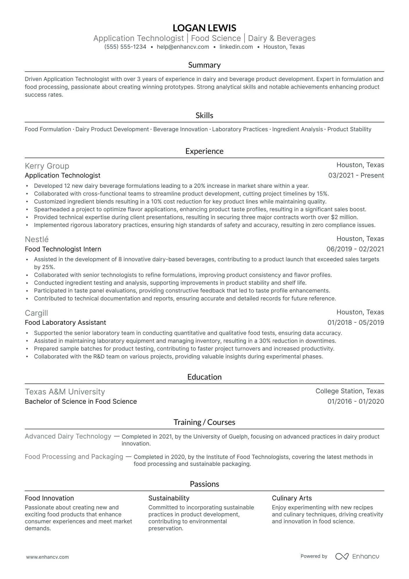 Senior Information Technologist resume example