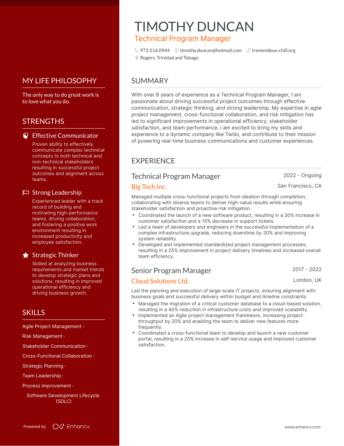 Creative Technical Program Manager Resume Example