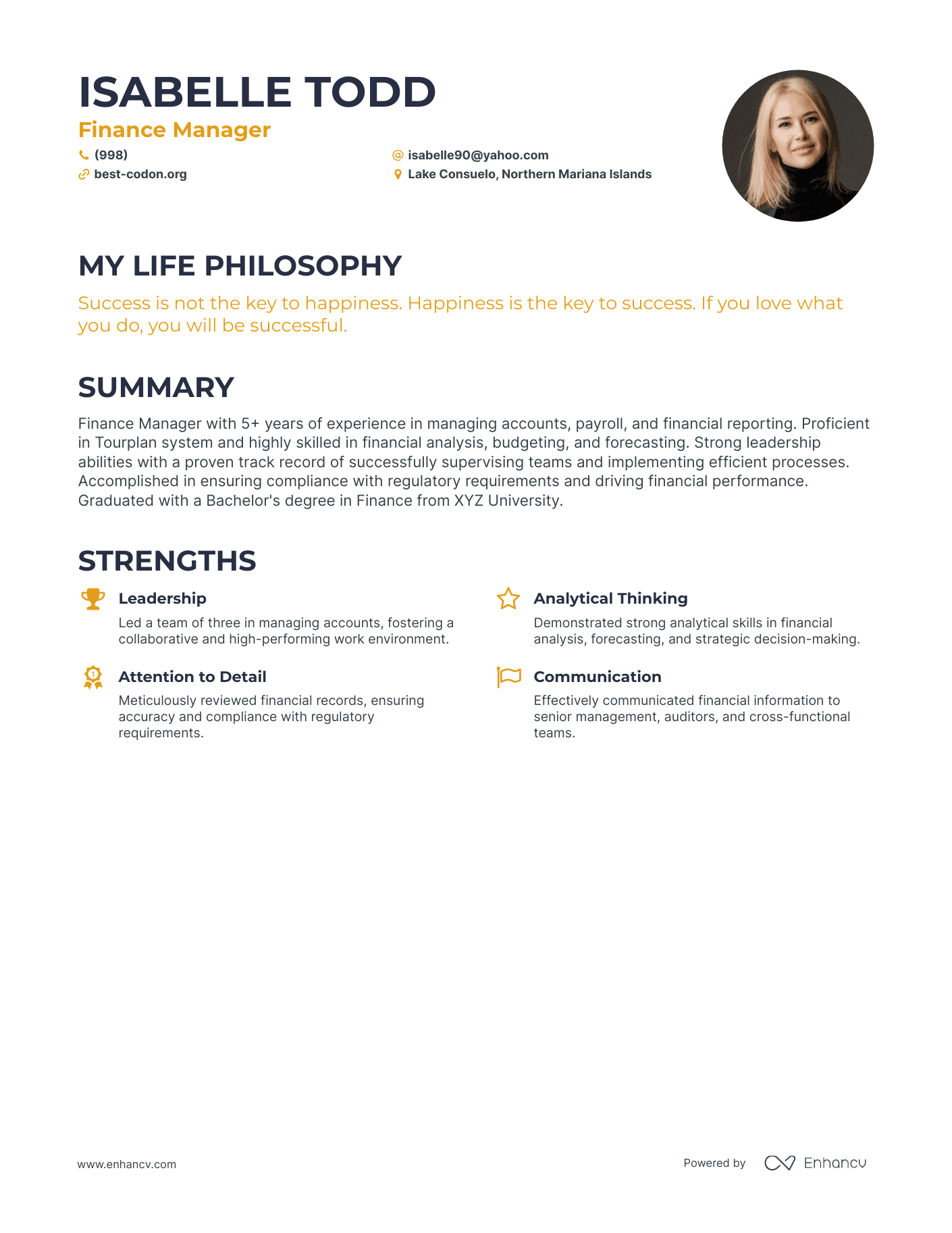 Creative Finance Manager Resume Example