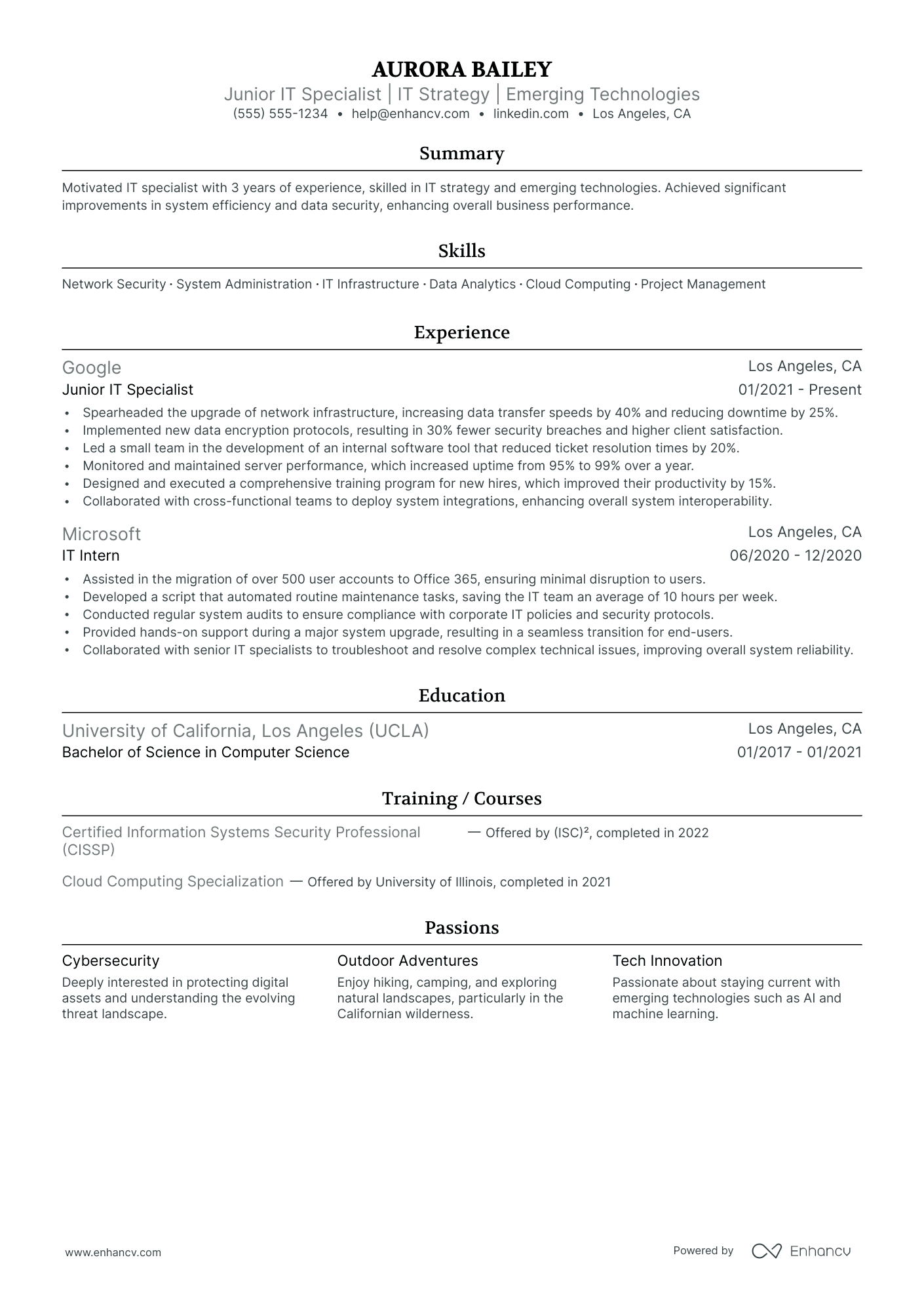 Executive Vice President & Chief Information Officer Resume Example Resume Example