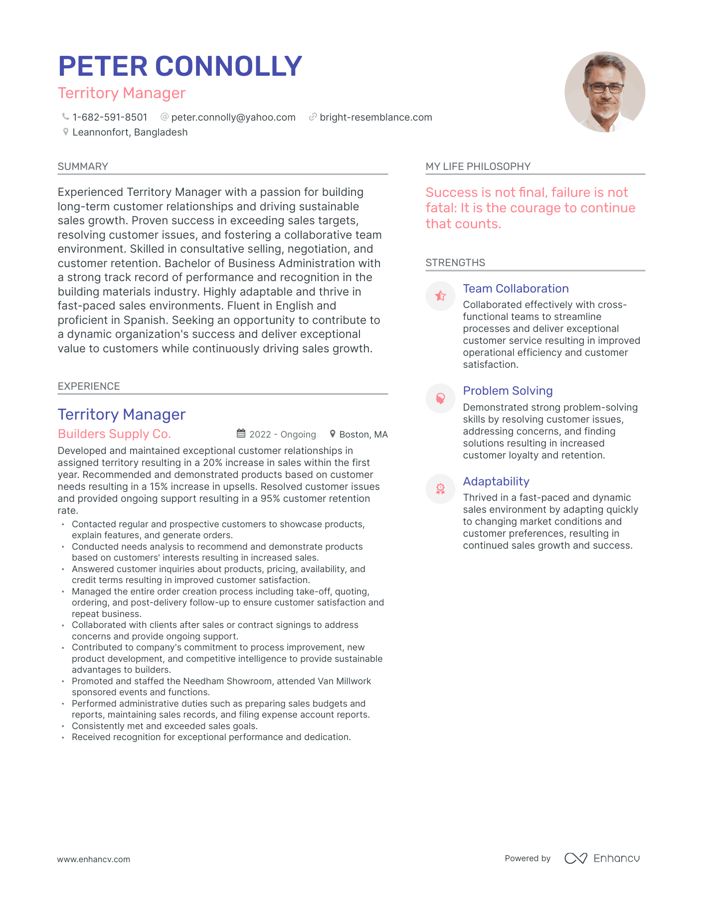 Territory Manager resume example