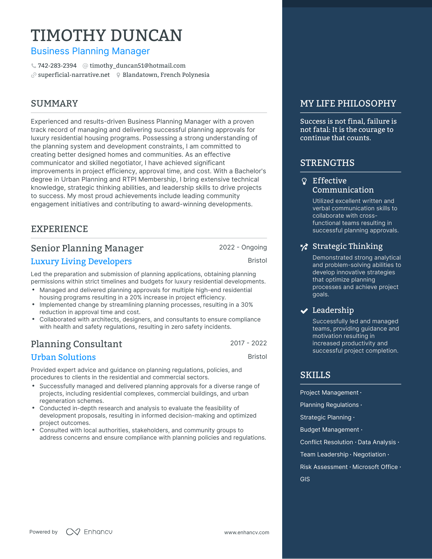 Modern Business Planning Manager Resume Example