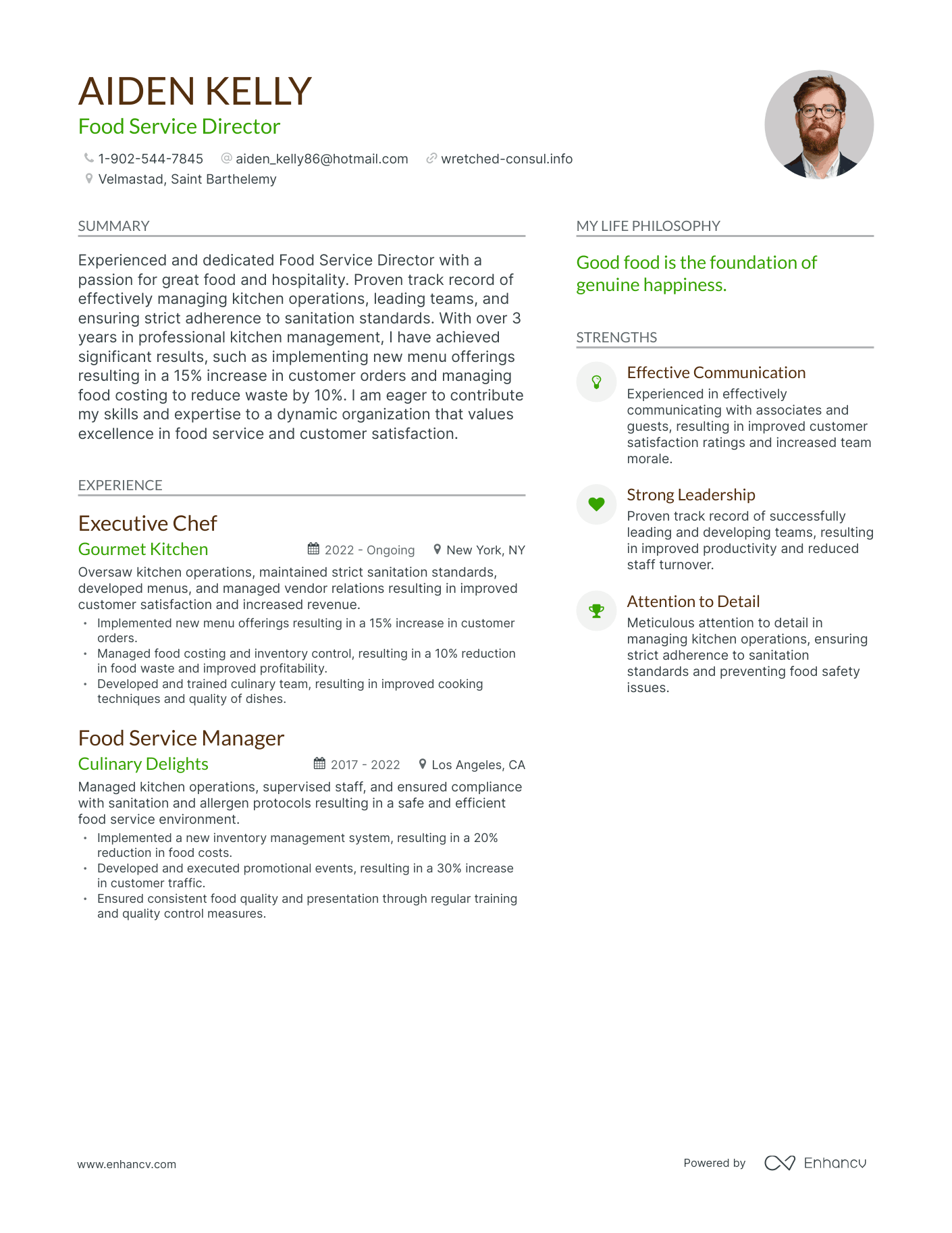 Modern Food Service Director Resume Example