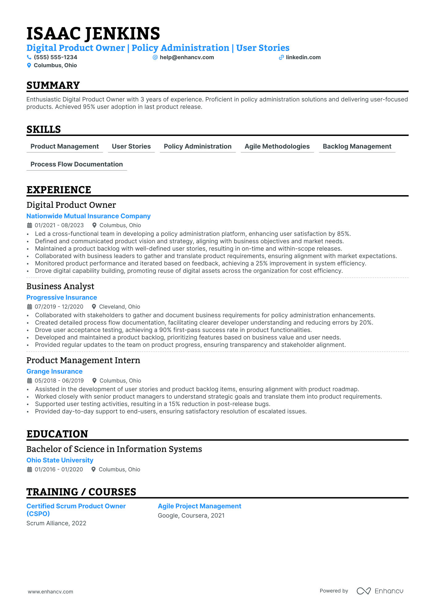 Digital Product Owner Resume Example Resume Example