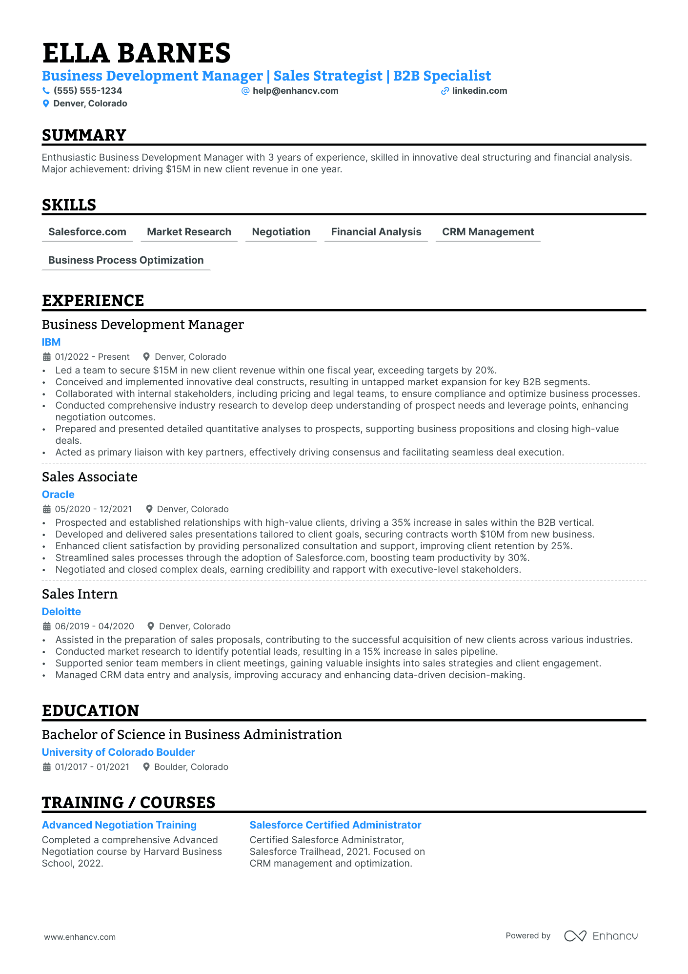 Business Development Sales Manager Resume Example Resume Example