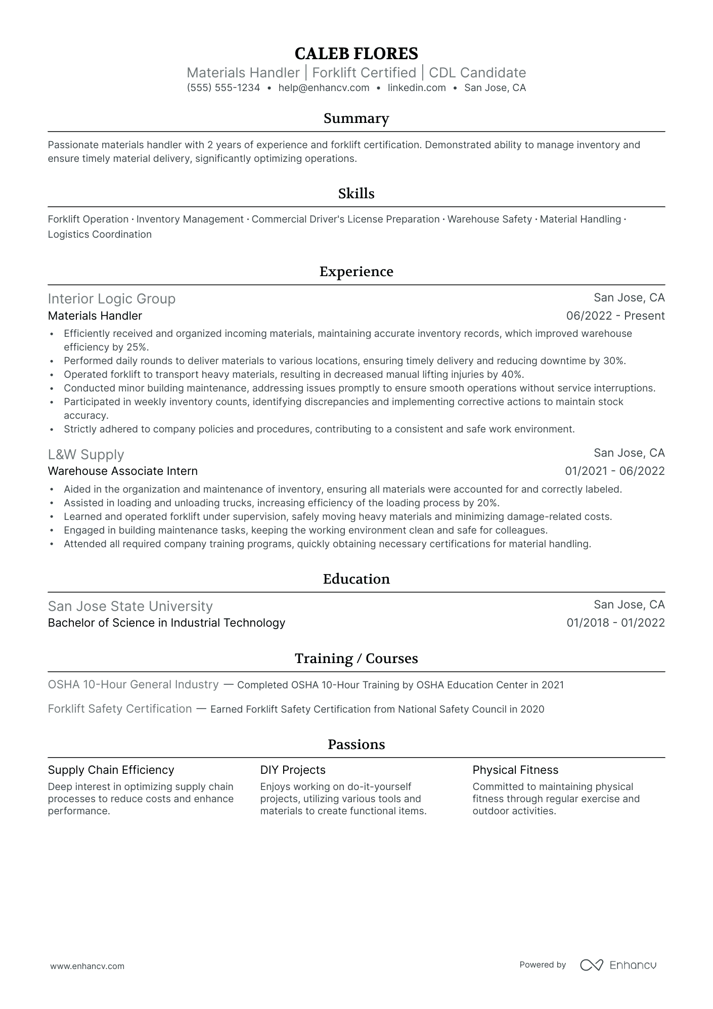 Assistant Delivery Driver resume example