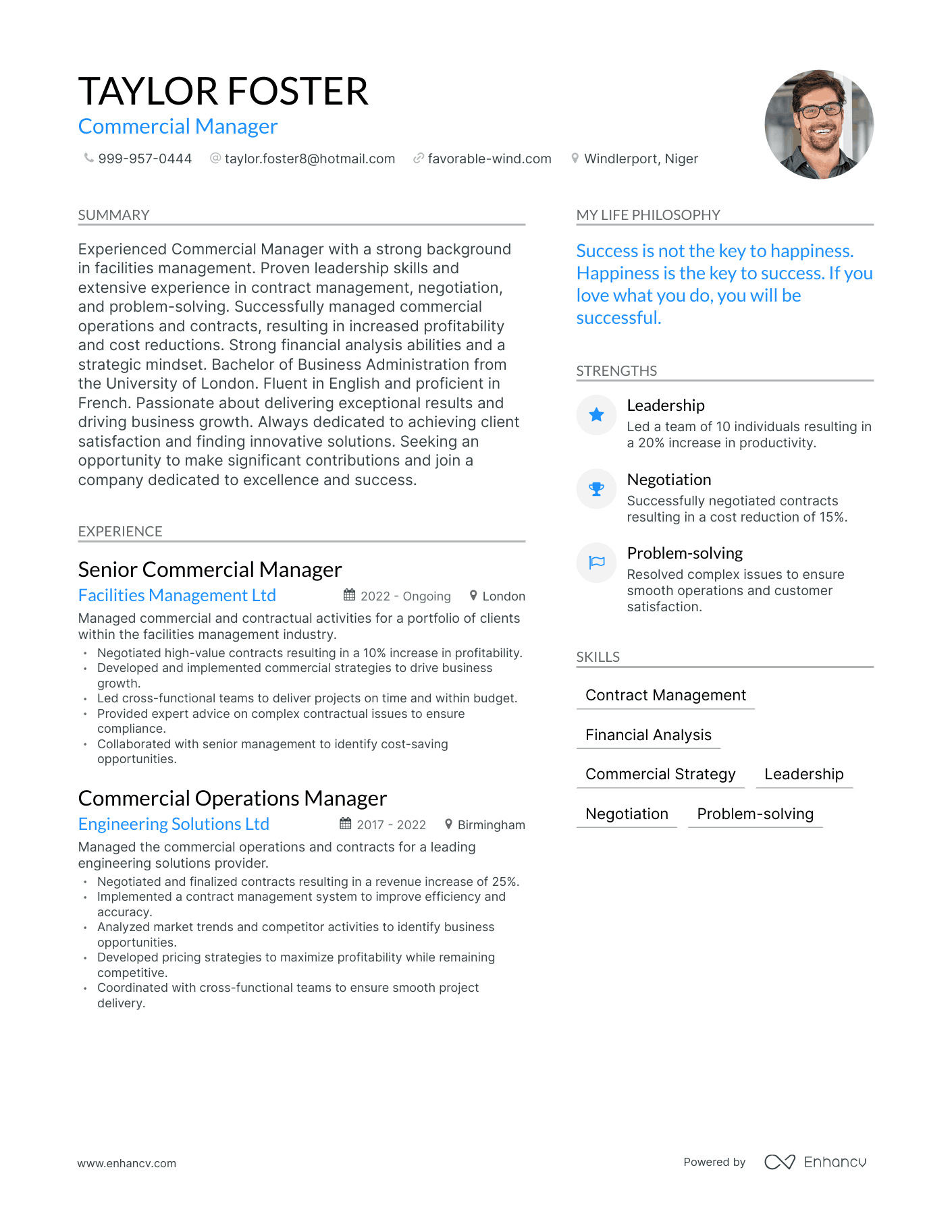 Modern Commercial Manager Resume Example