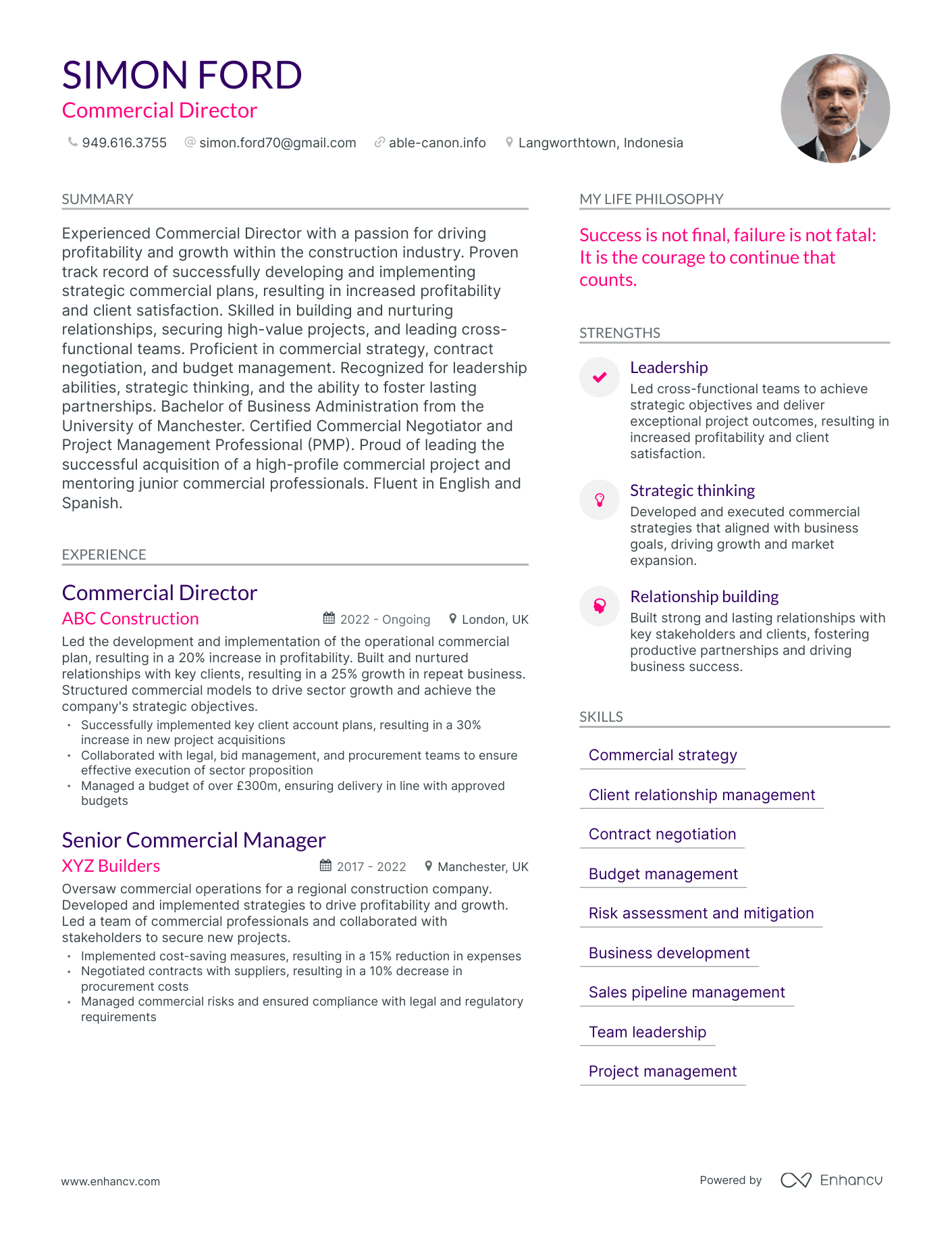 Modern Commercial Director Resume Example
