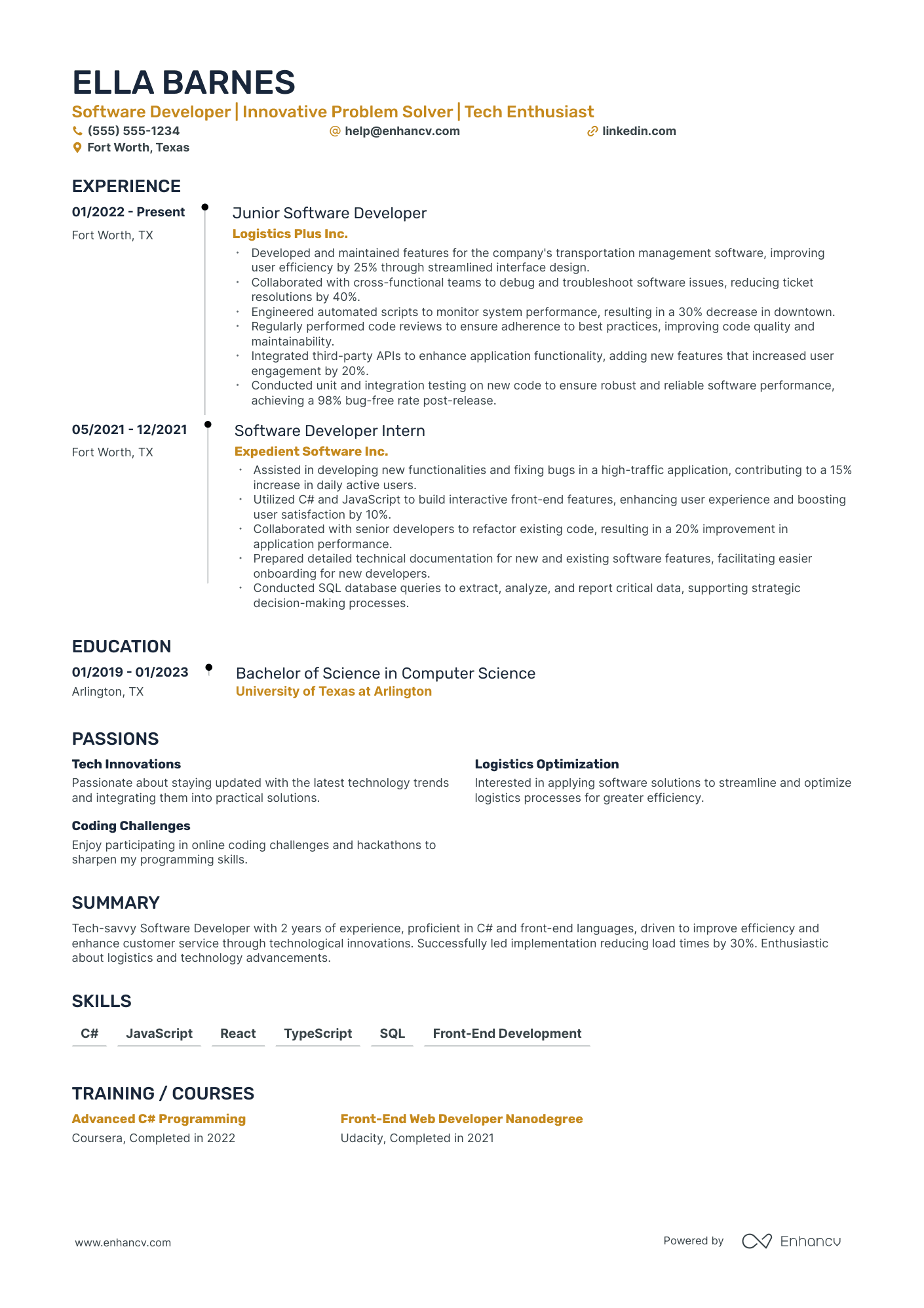 Software Developer Intern resume example