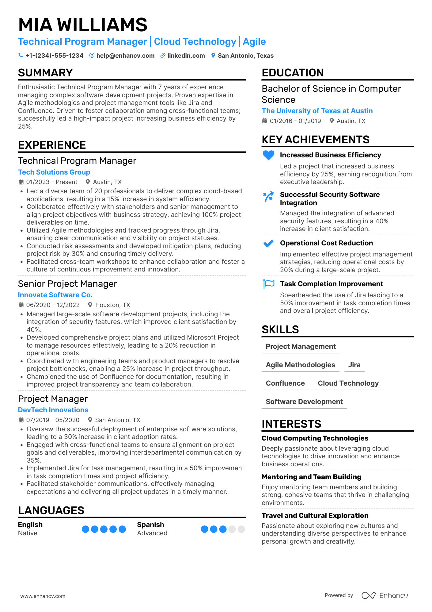 Technical Program Manager resume example