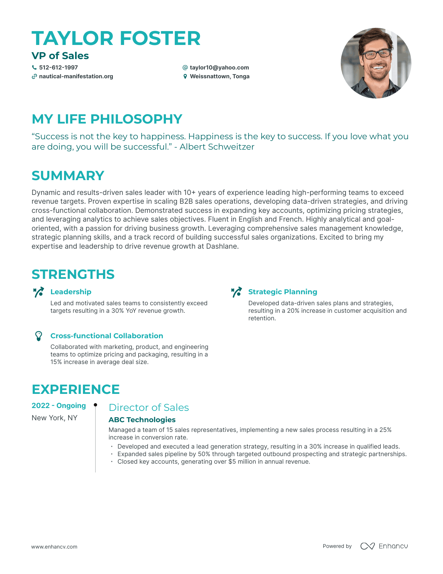 Creative VP of Sales Resume Example
