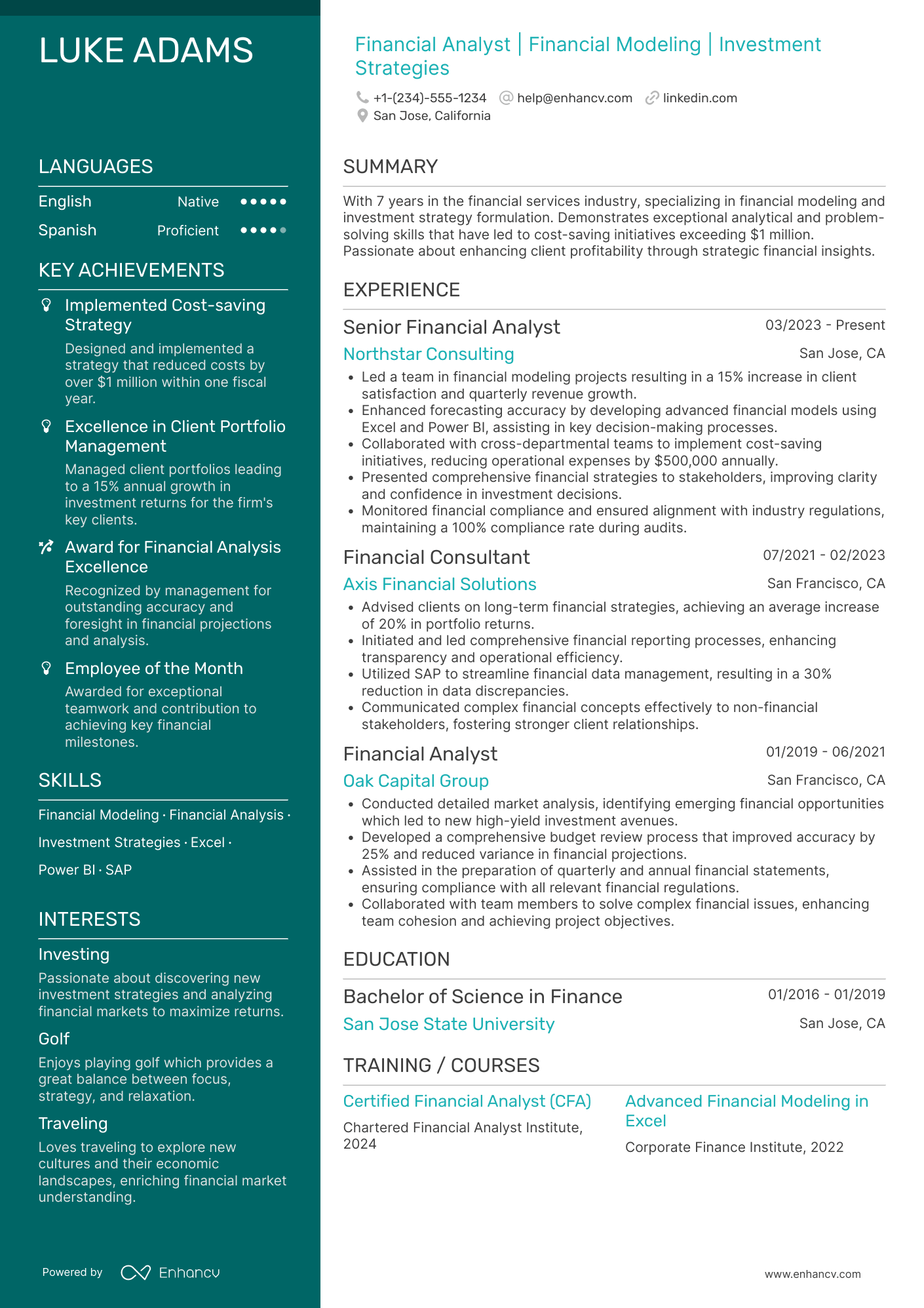 Financial Professional resume example