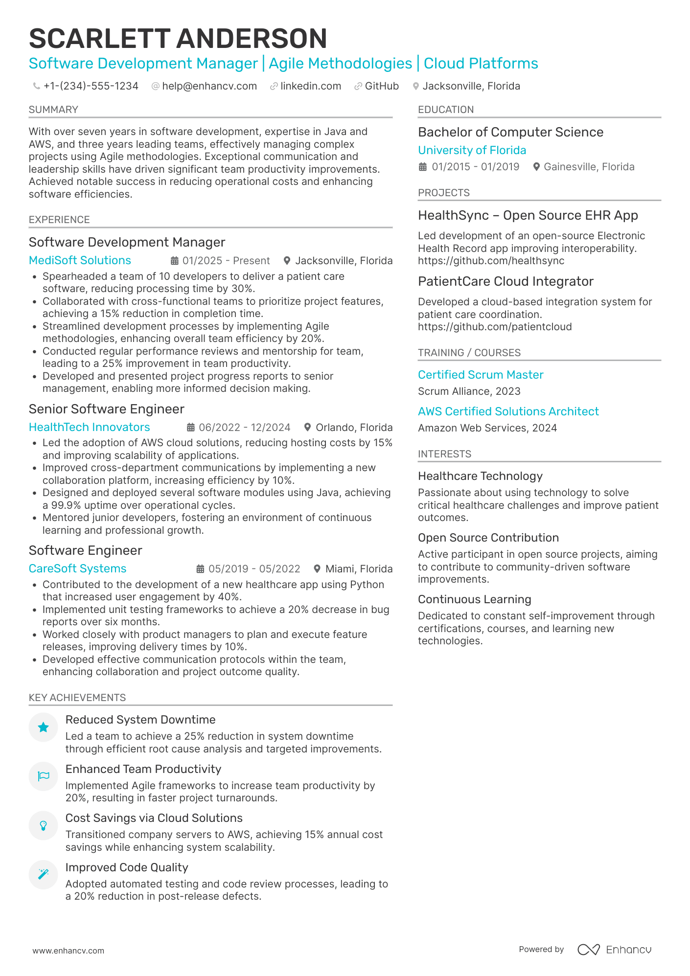 Software Development Manager resume example