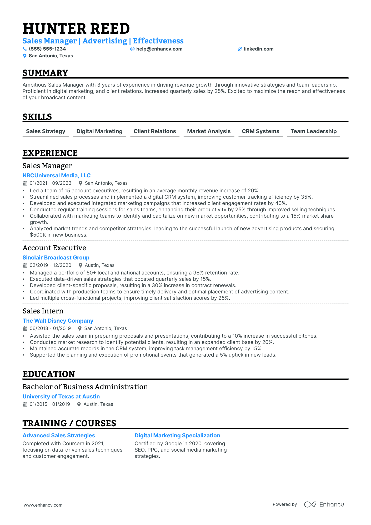 Technical Sales Manager resume example