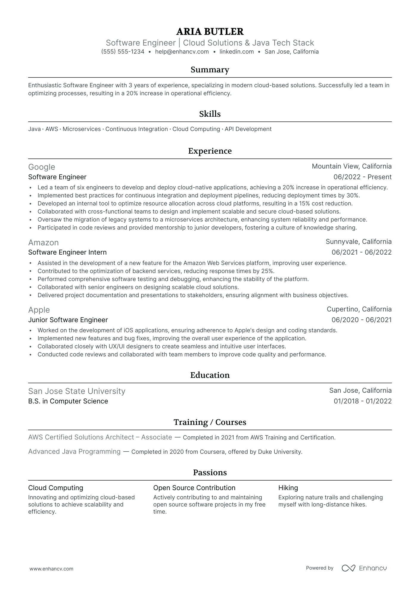 Director Of Software Engineering resume example