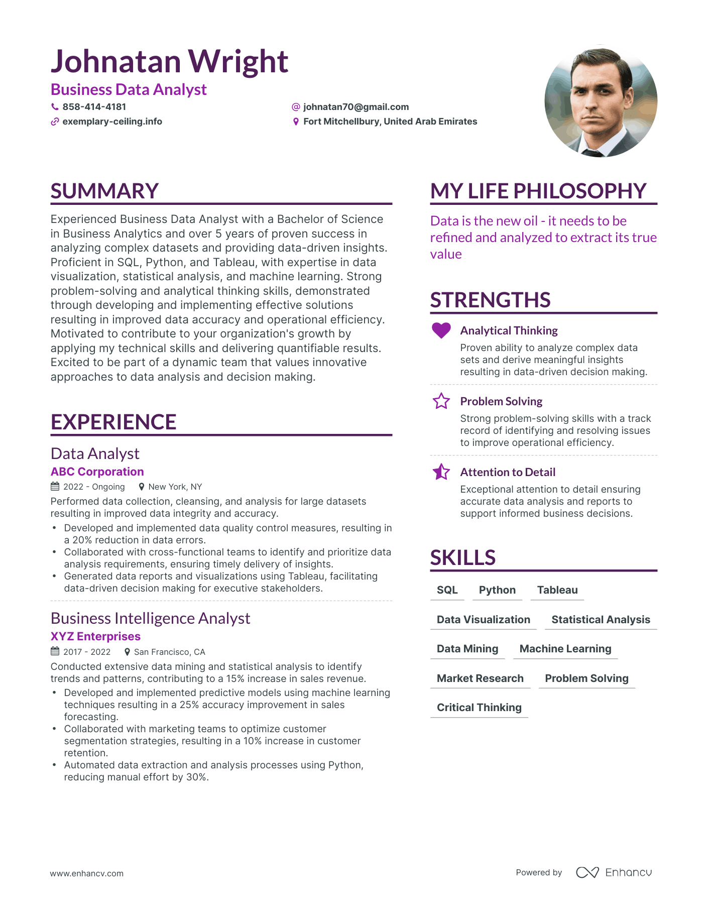 Business Data Analyst resume example