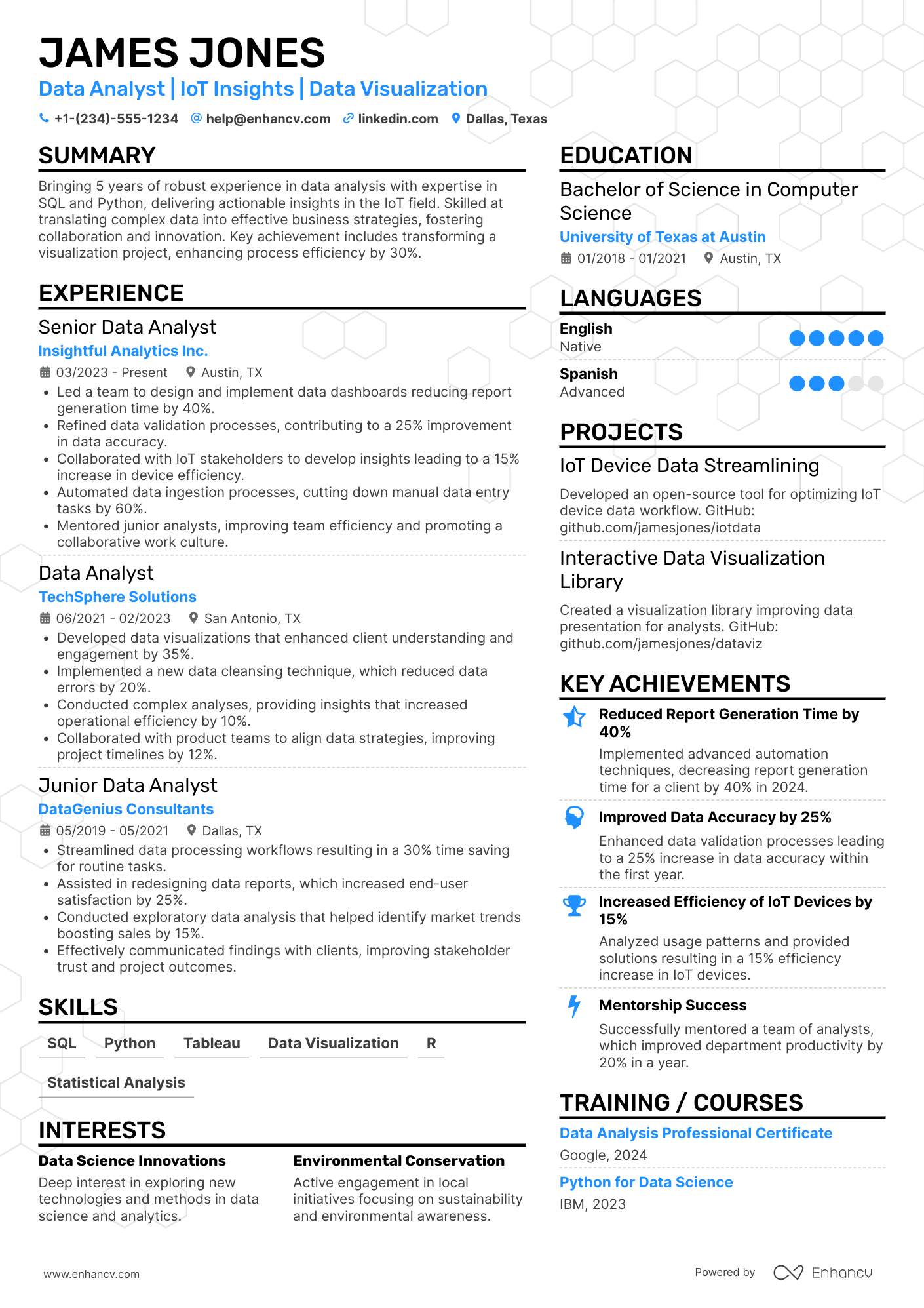 Data Analyst resume example