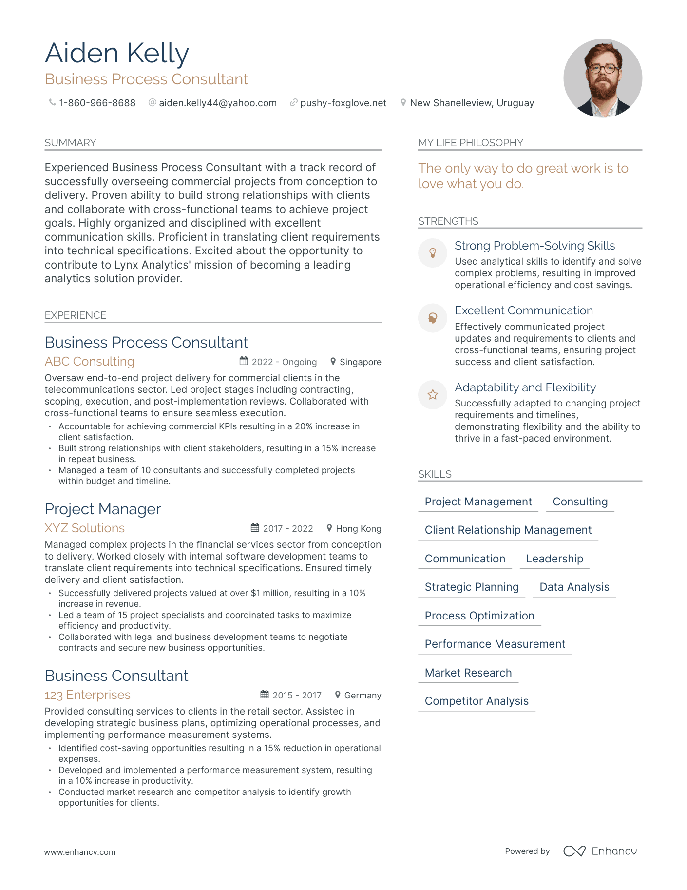 Business Process Consultant resume example