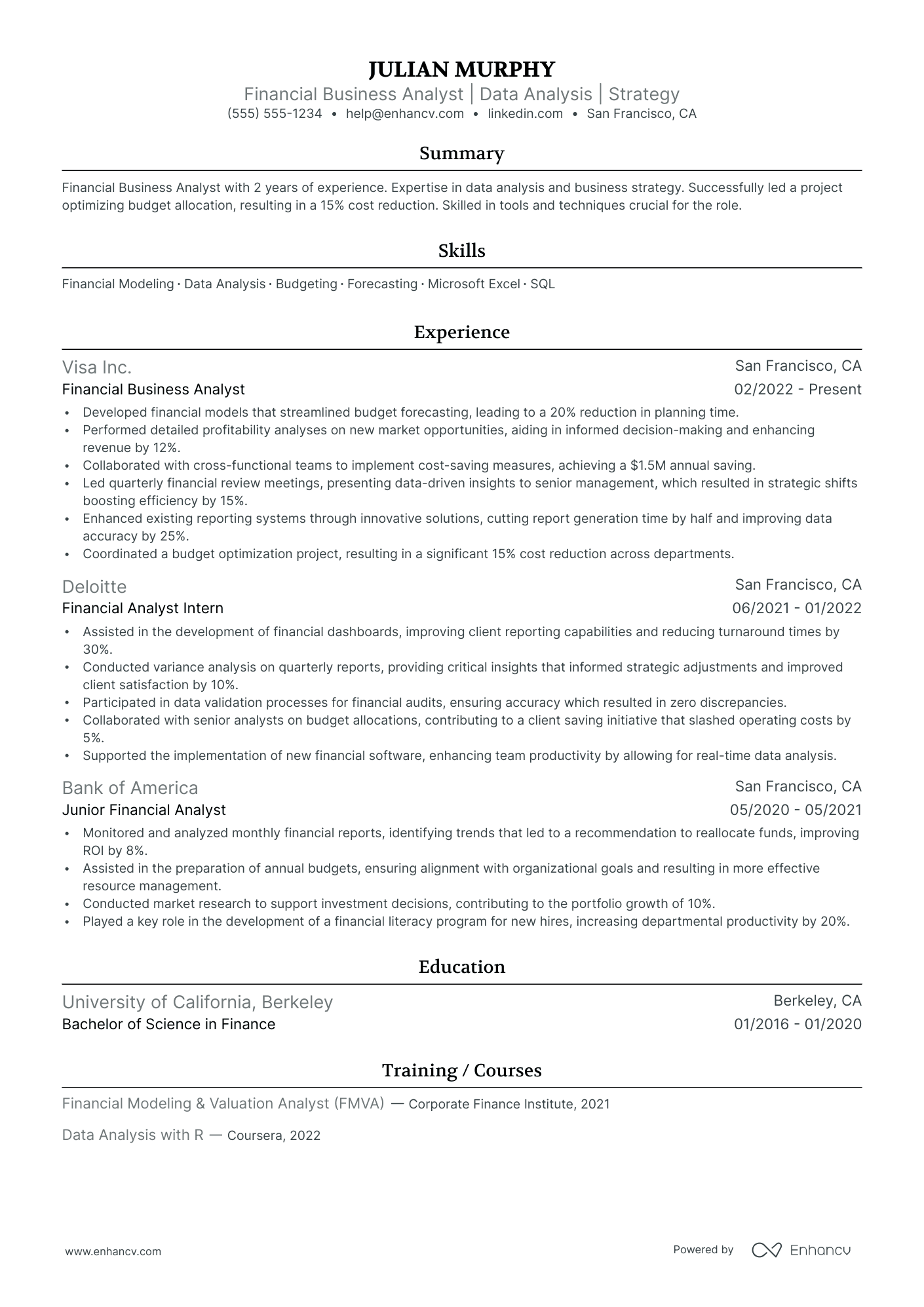 Financial Business Analyst resume example