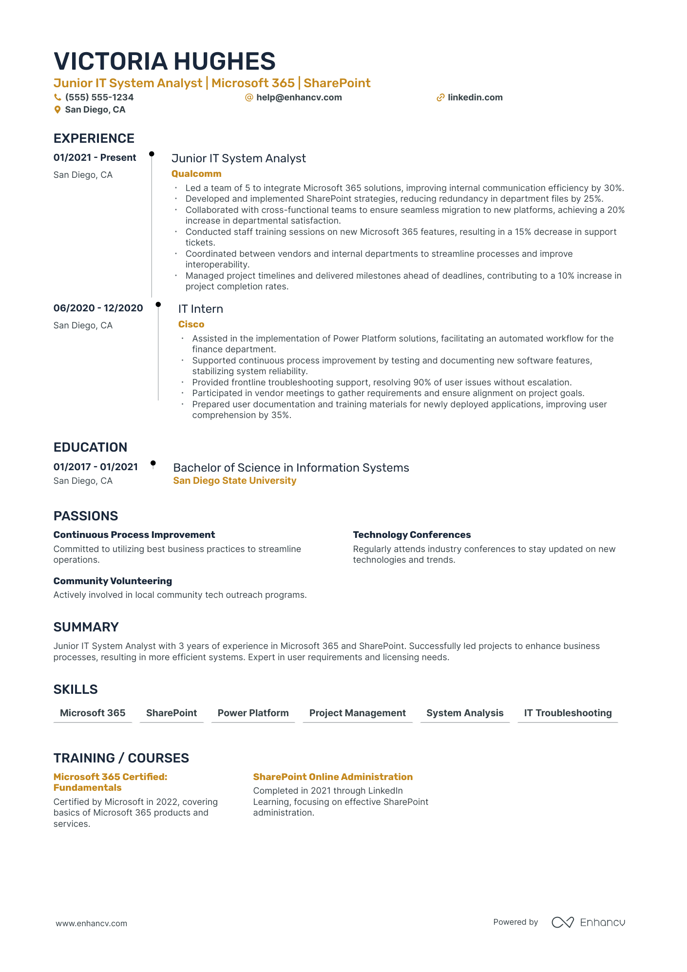 Technical Solutions Architect resume example