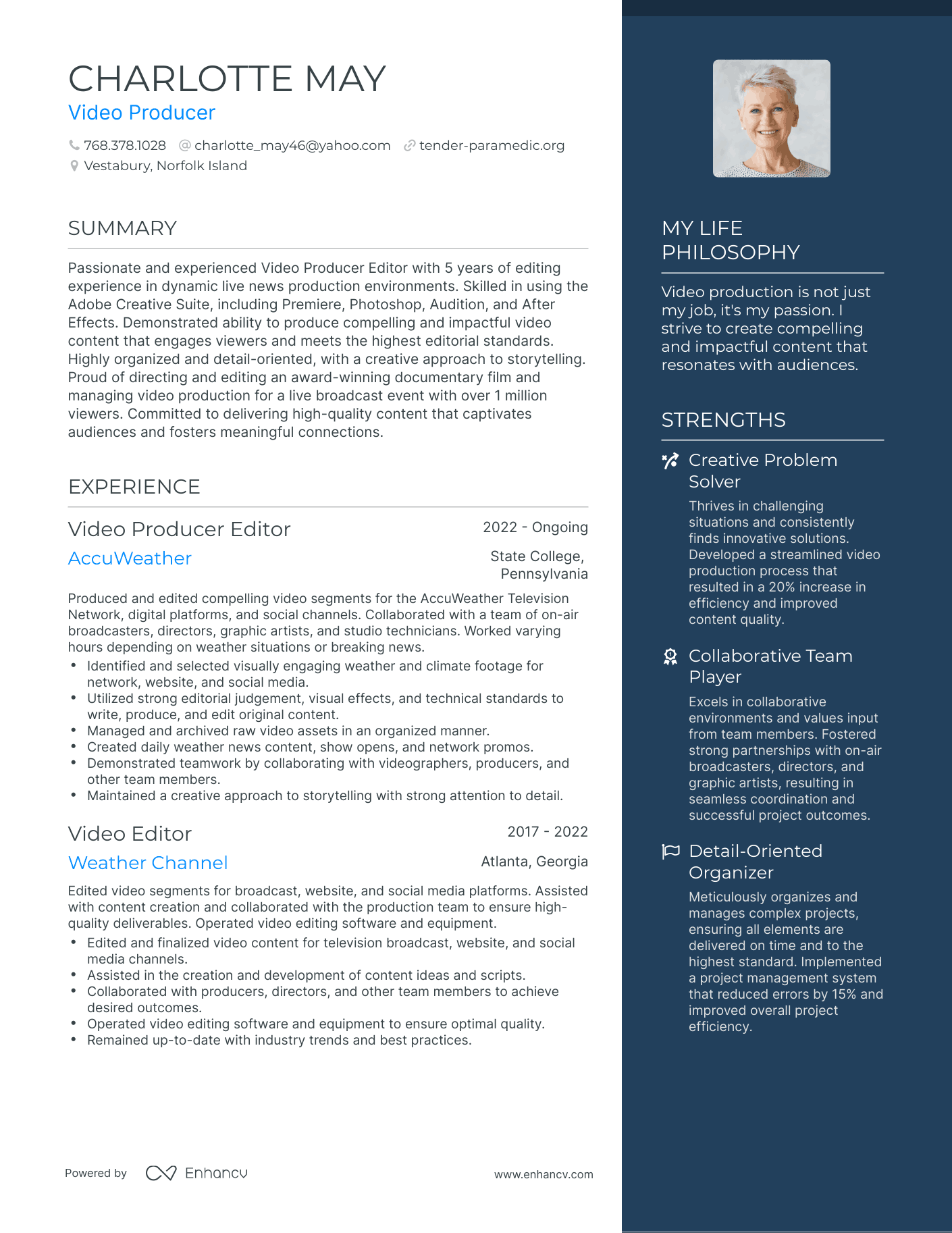 Video Producer resume example