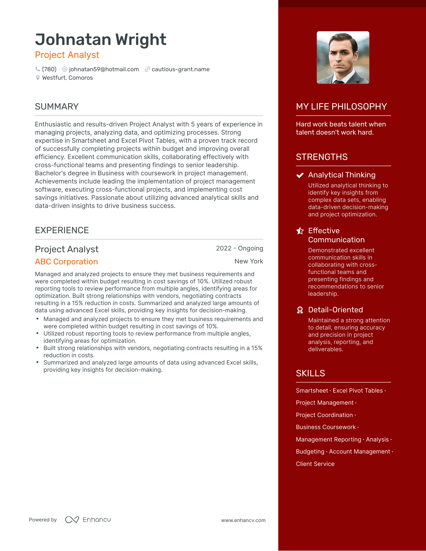 Modern Project Analyst Resume Example