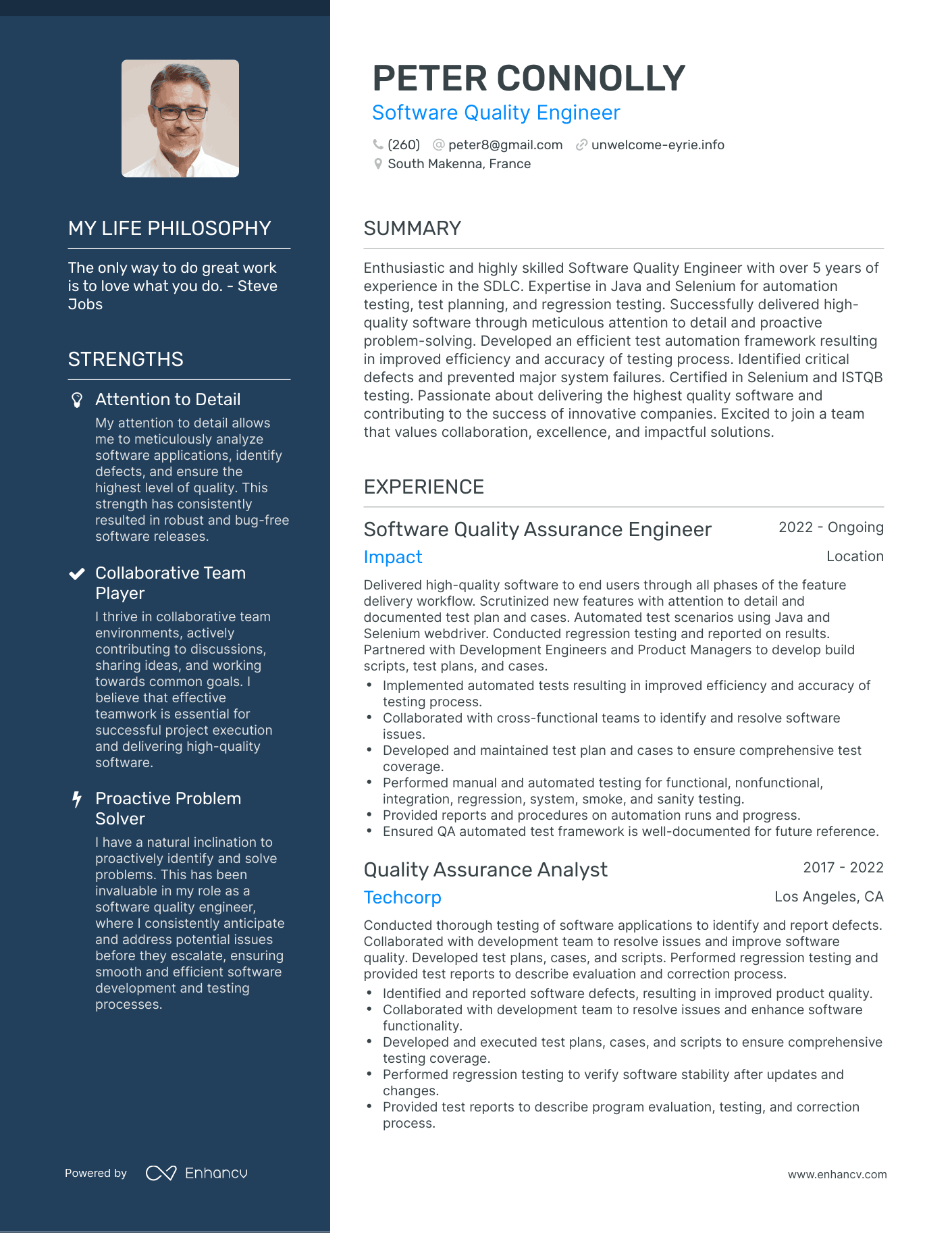 Creative Software Quality Engineer Resume Example