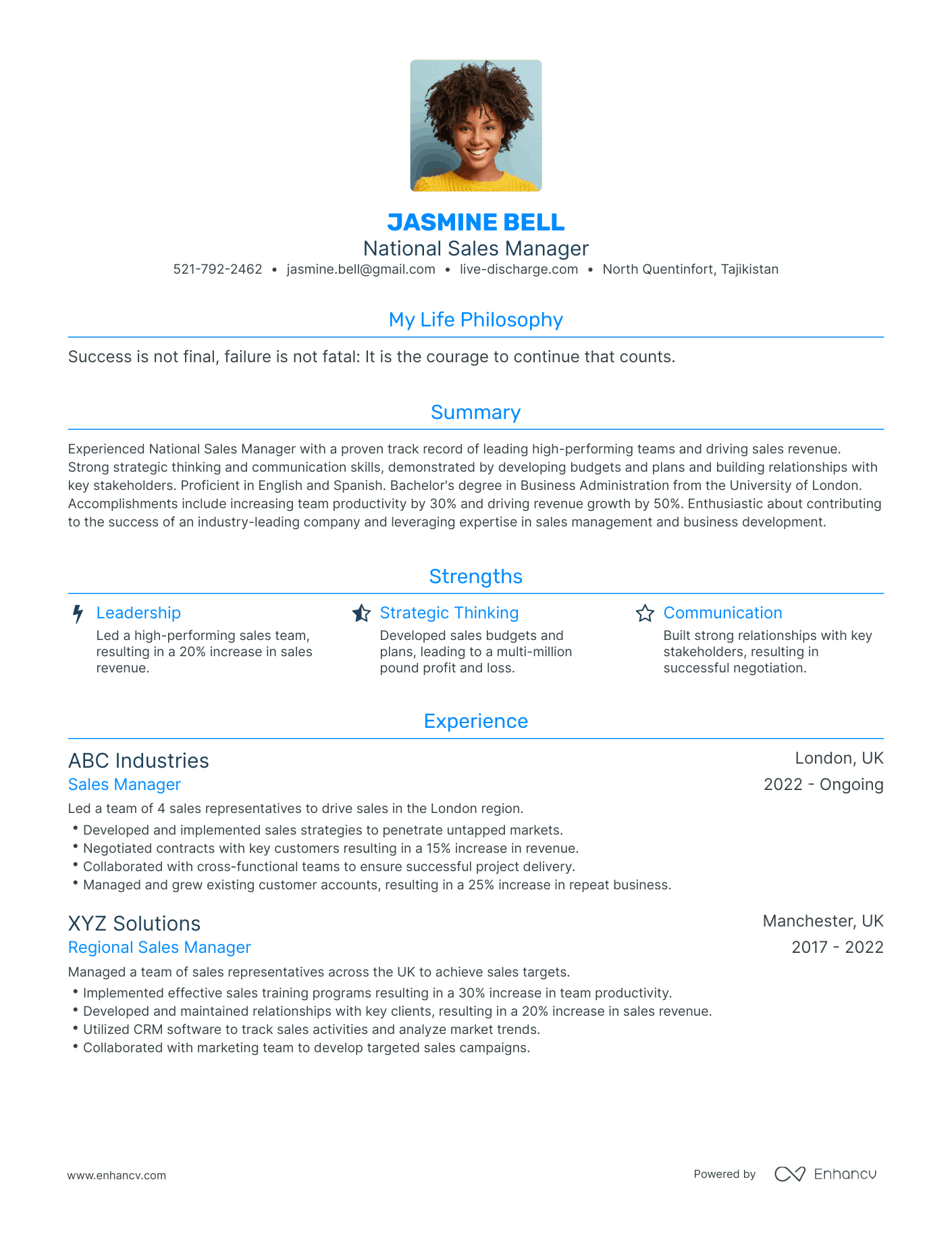 Modern National Sales Manager Resume Example