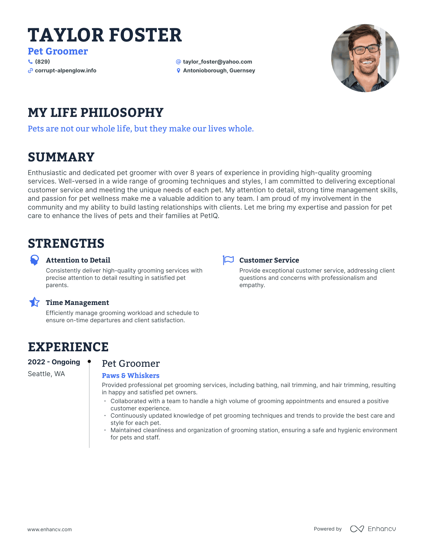 Creative Pet Groomer Resume Example