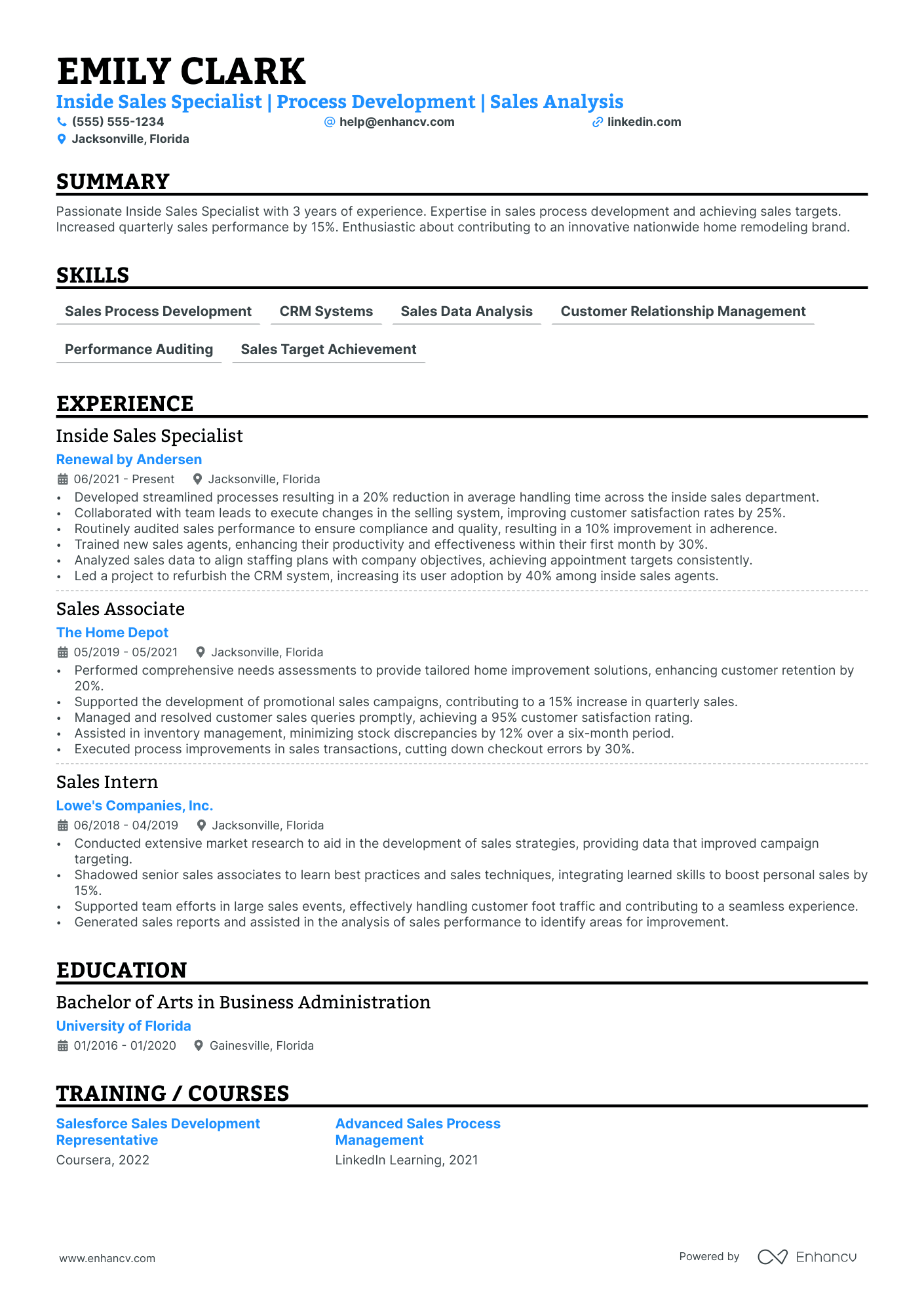 Director of Outside Sales Operations resume example