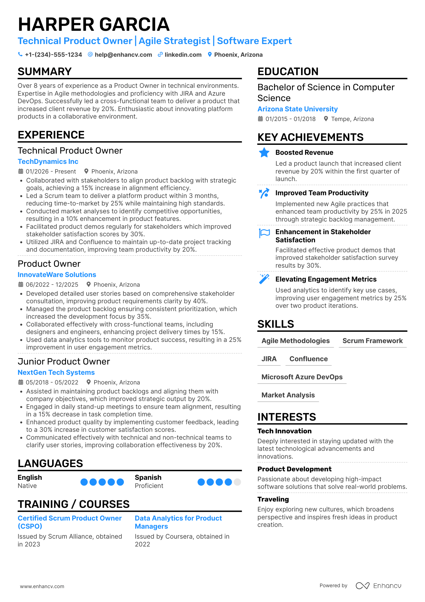 Technical Product Owner resume example