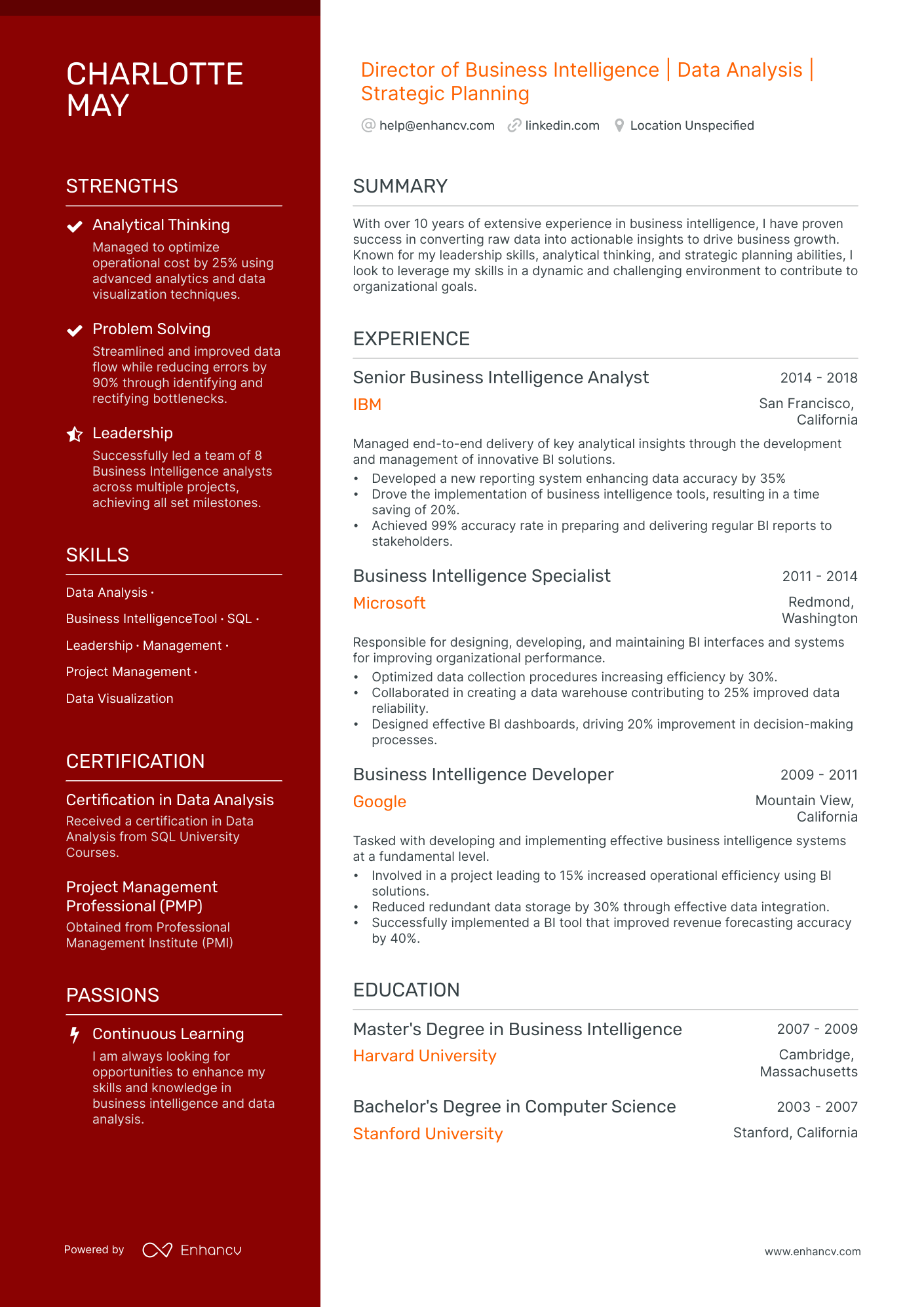 business intelligence director resume example