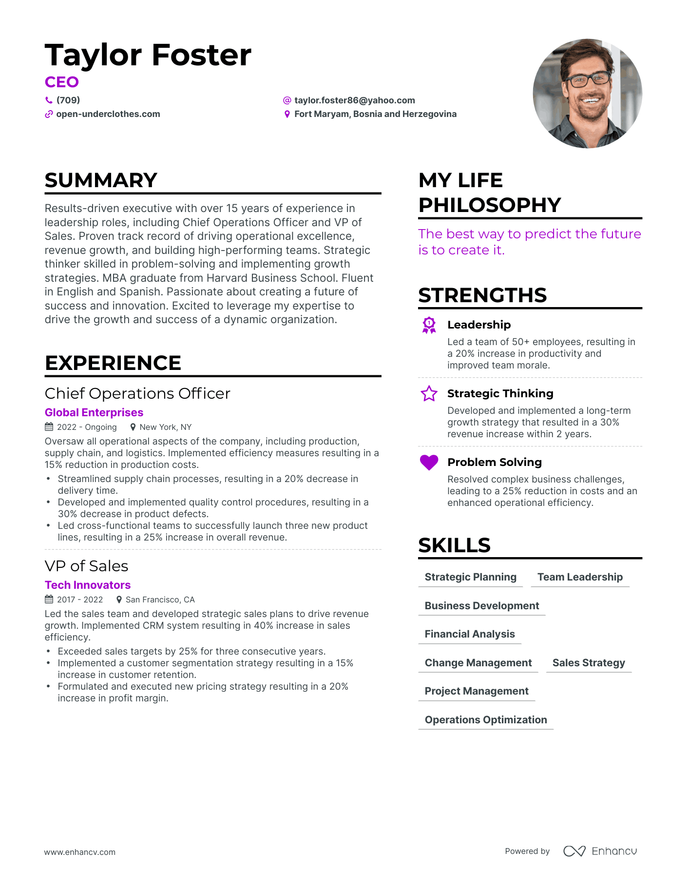 CEO resume example