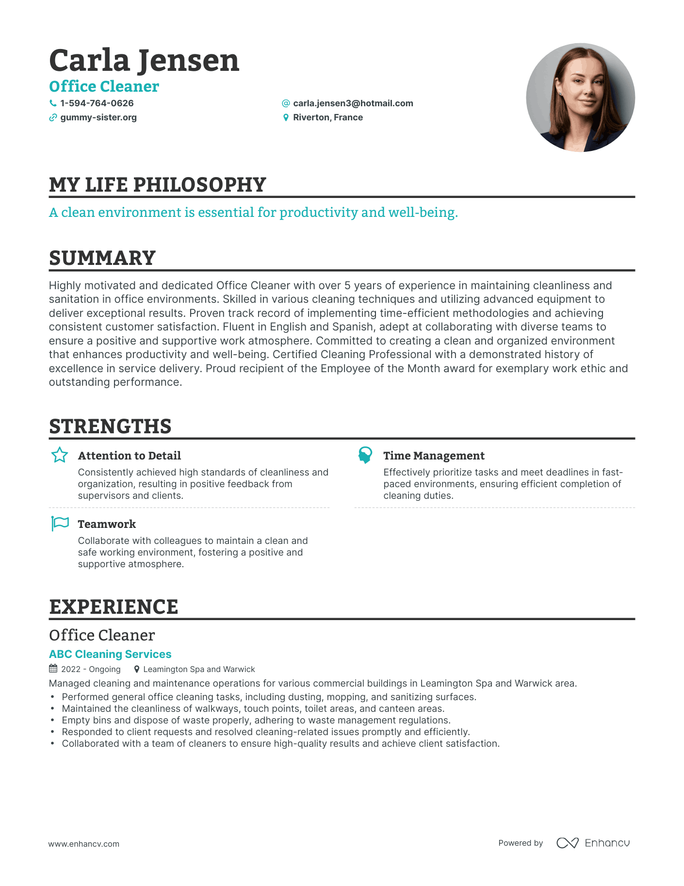 Creative Office Cleaner Resume Example