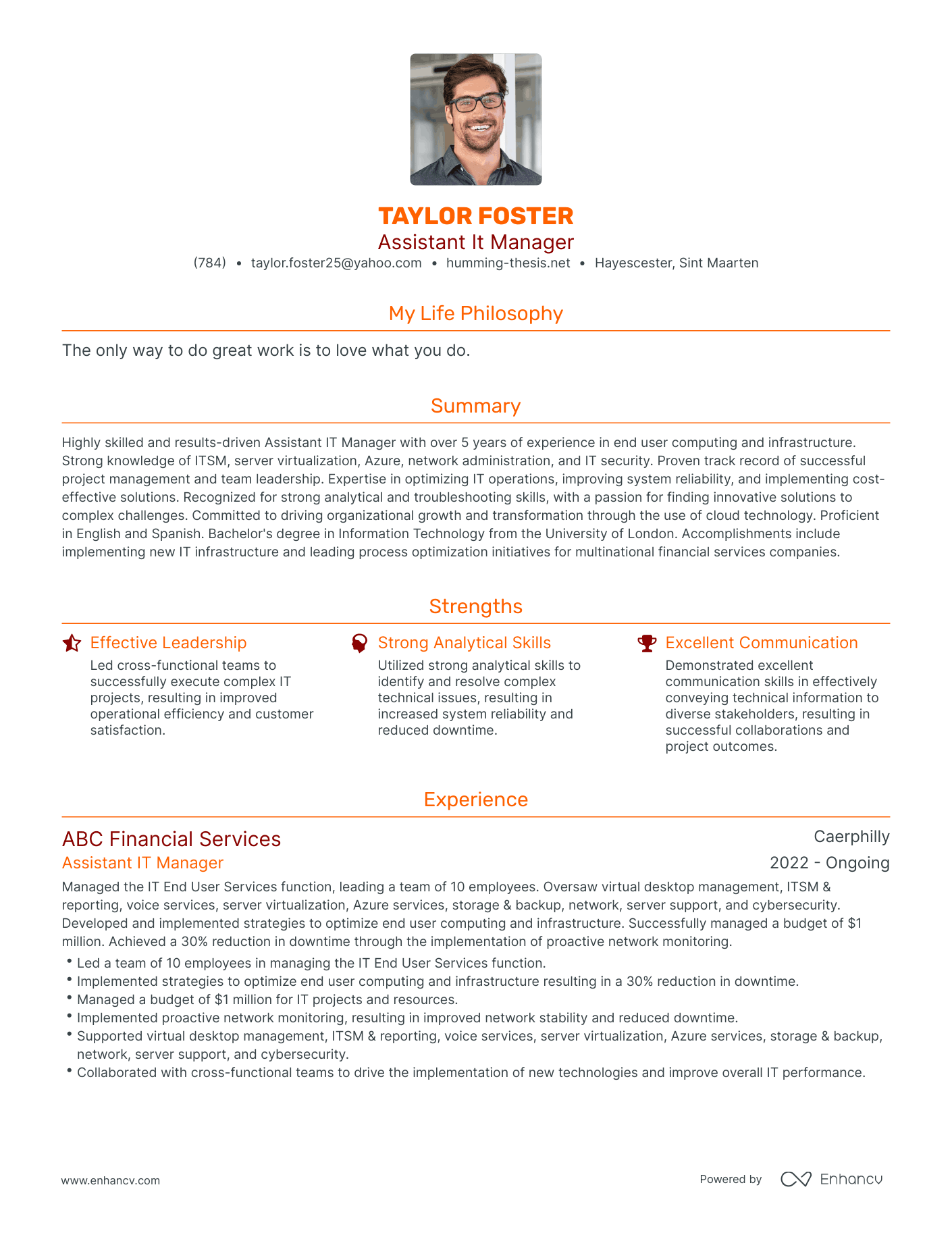 Modern Assistant It Manager Resume Example
