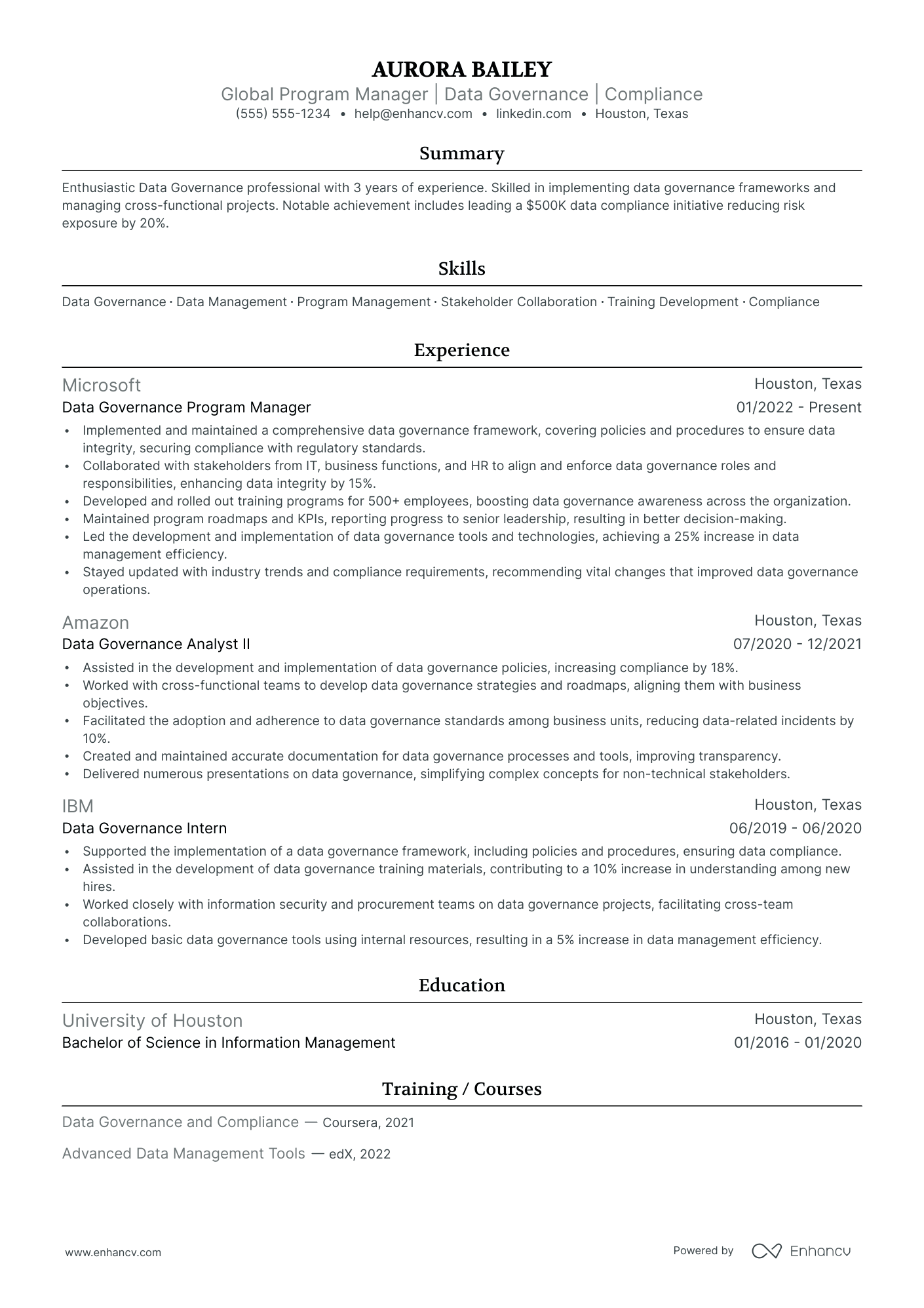 Data Visualization Project Manager Resume Example Resume Example