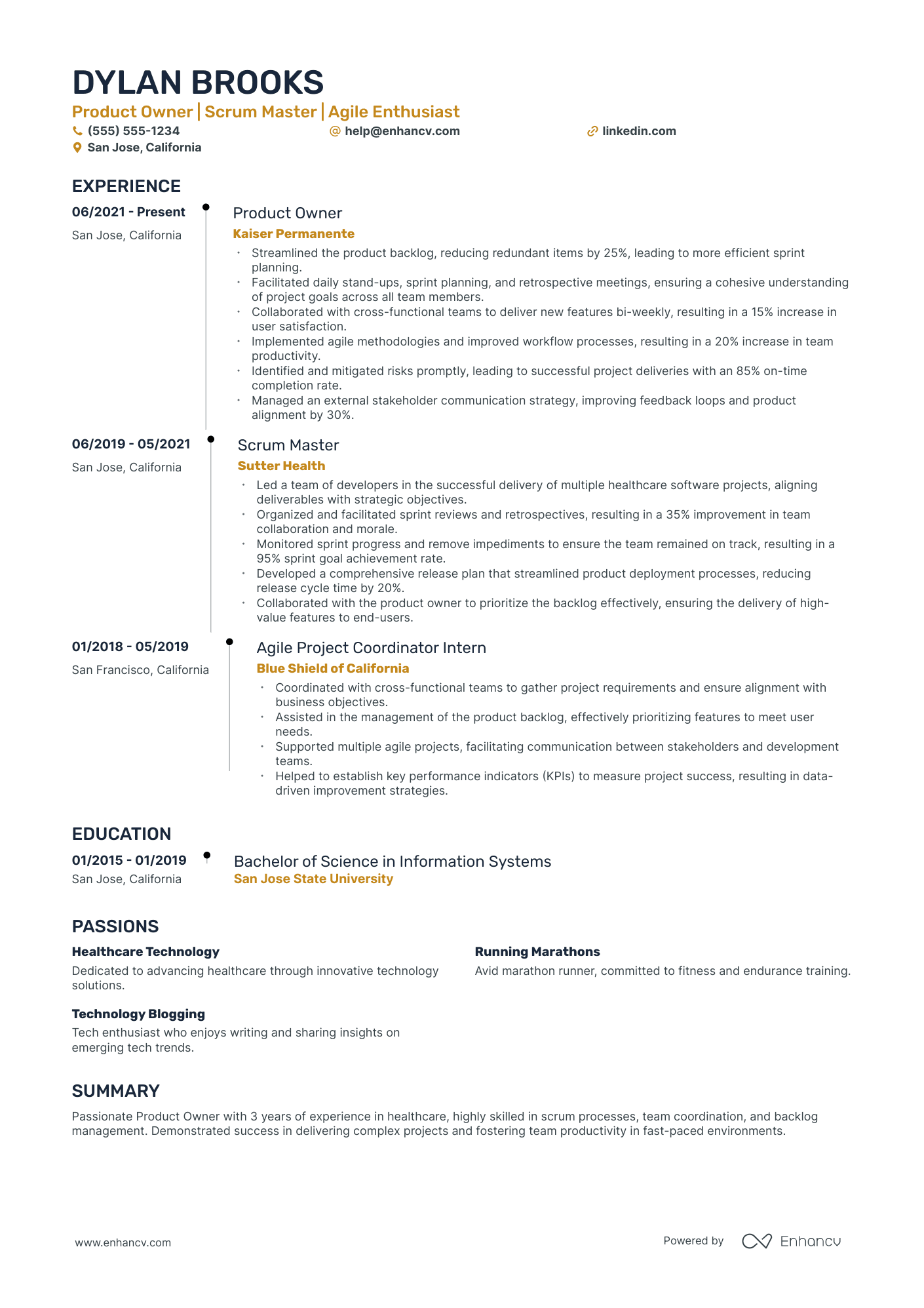 Product Owner resume example