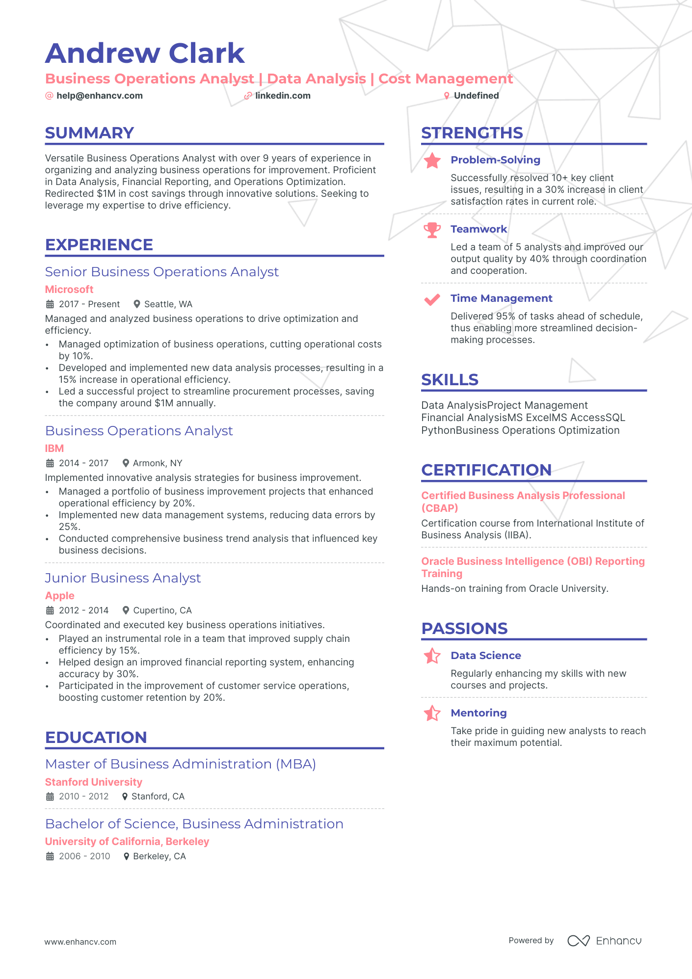 Business Operations Analyst resume example