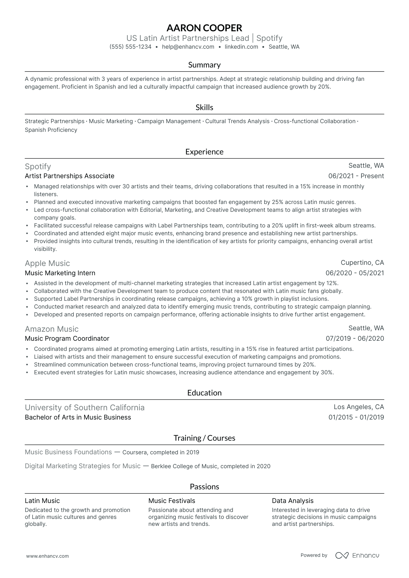 Lead Artist resume example