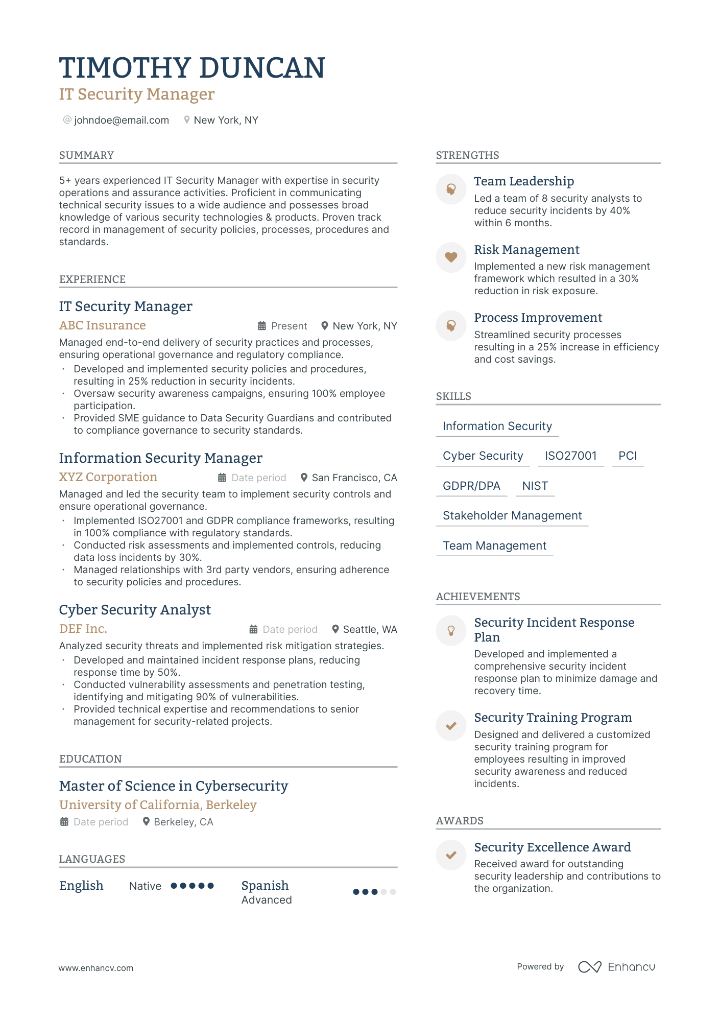 it security manager resume example
