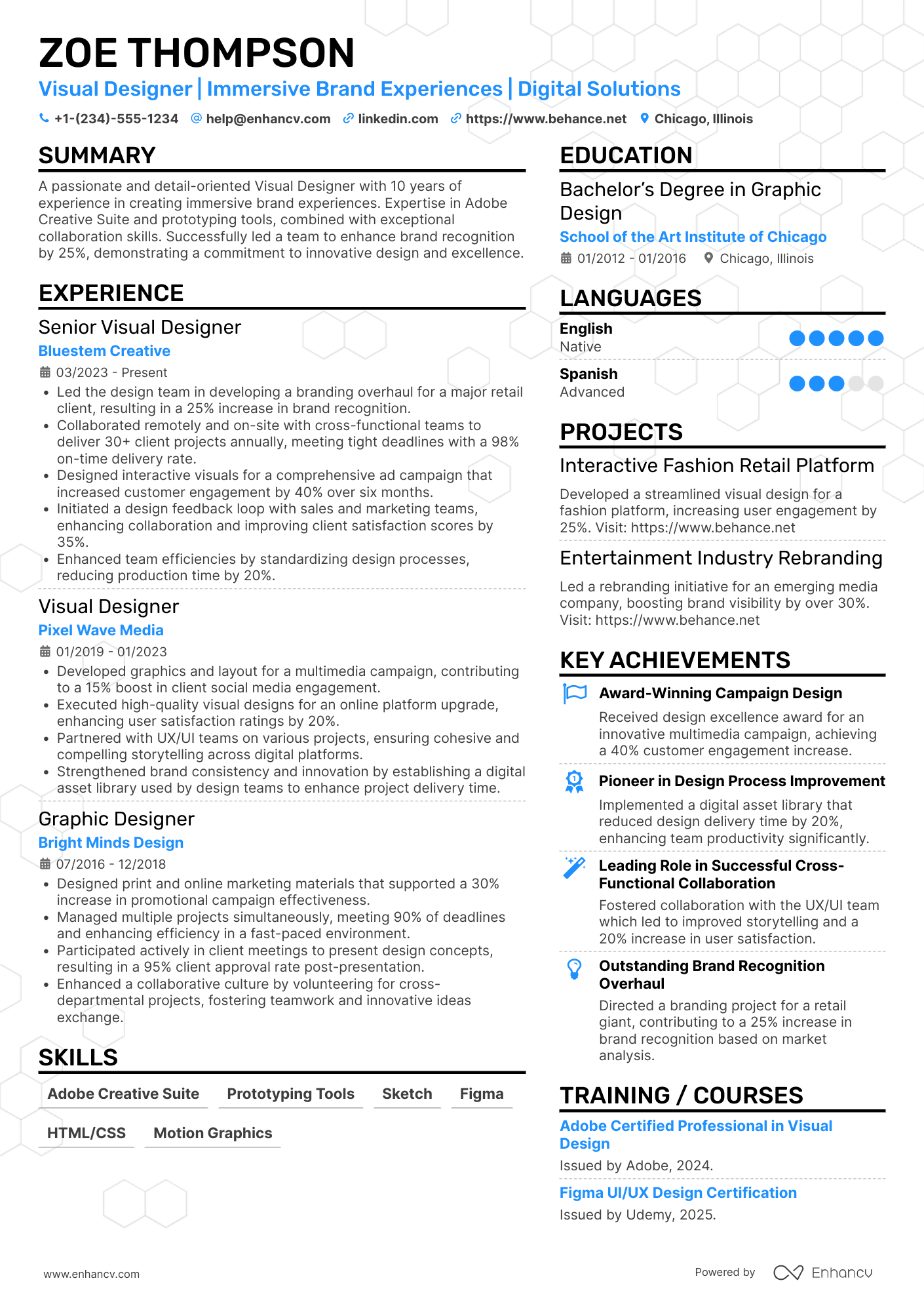 Visual Designer resume example