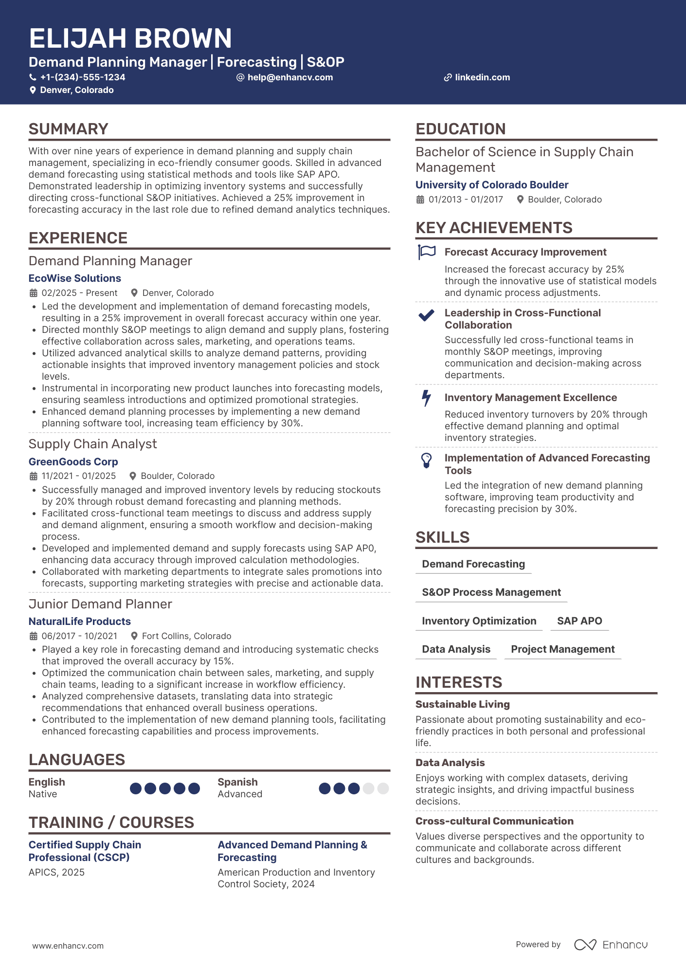 Demand Planning Manager resume example