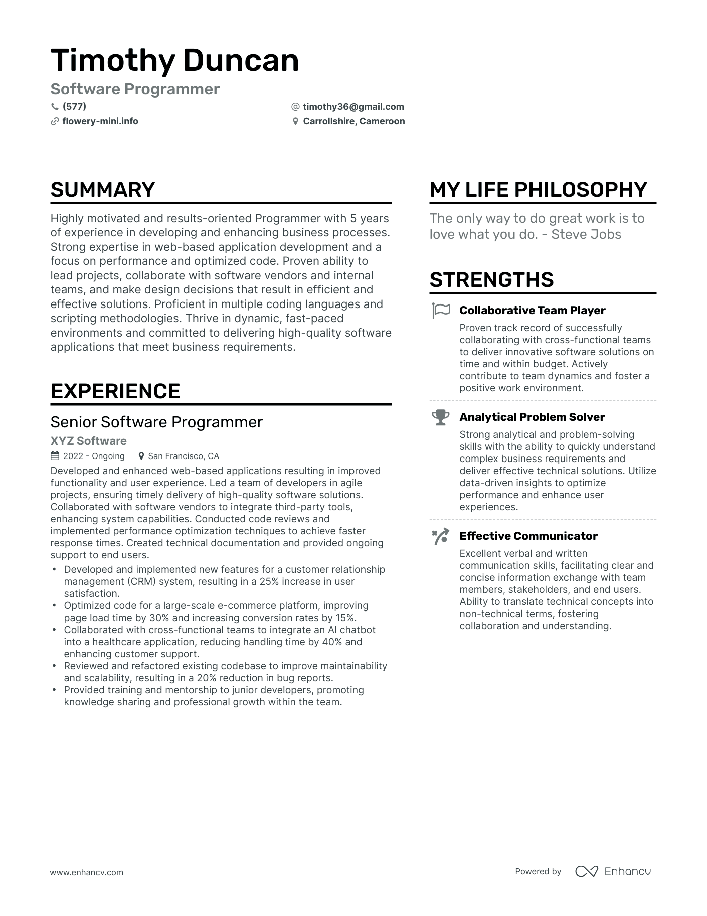 Software Programmer resume example